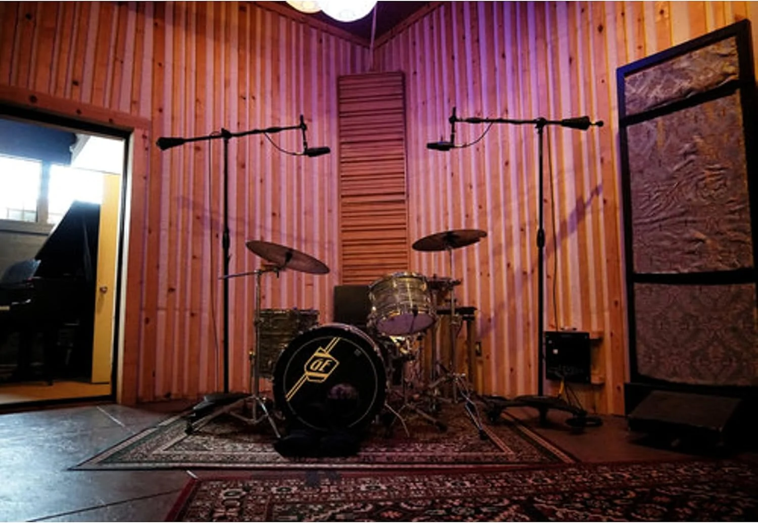 میکروفون sE Electronics X1 S میکروفون sE Electronics X1 S