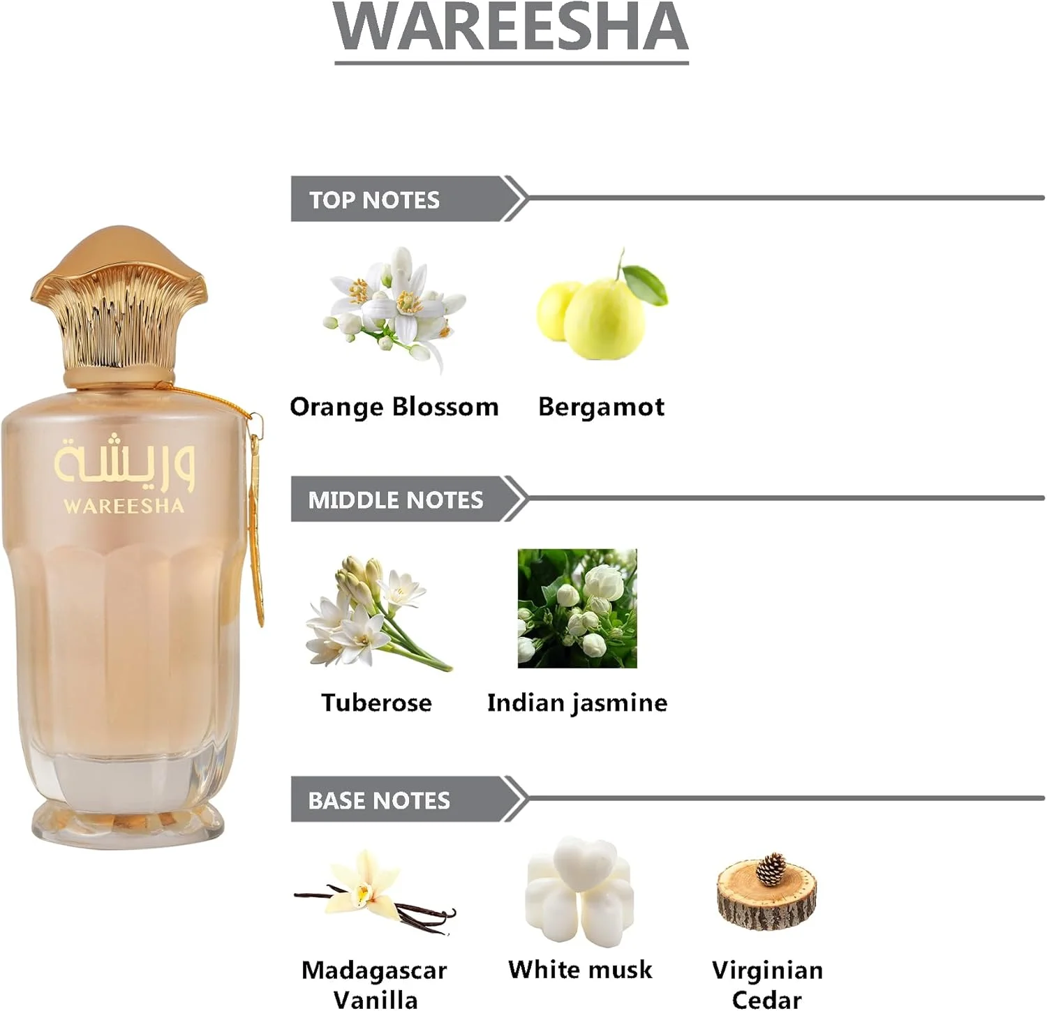 عطر ادو پرفیوم زنانه وجدان وارشا - 100 میلی لیتر | لذت بردن از یک عطر لوکس و ماندگار که ظرافت و قدرت زنانه را به تصویر می کشد عطر ادو پرفیوم زنانه وجدان وارشا - 100 میلی لیتر | لذت بردن از یک عطر لوکس و ماندگار که ظرافت و قدرت زنانه را به تصویر می کشد