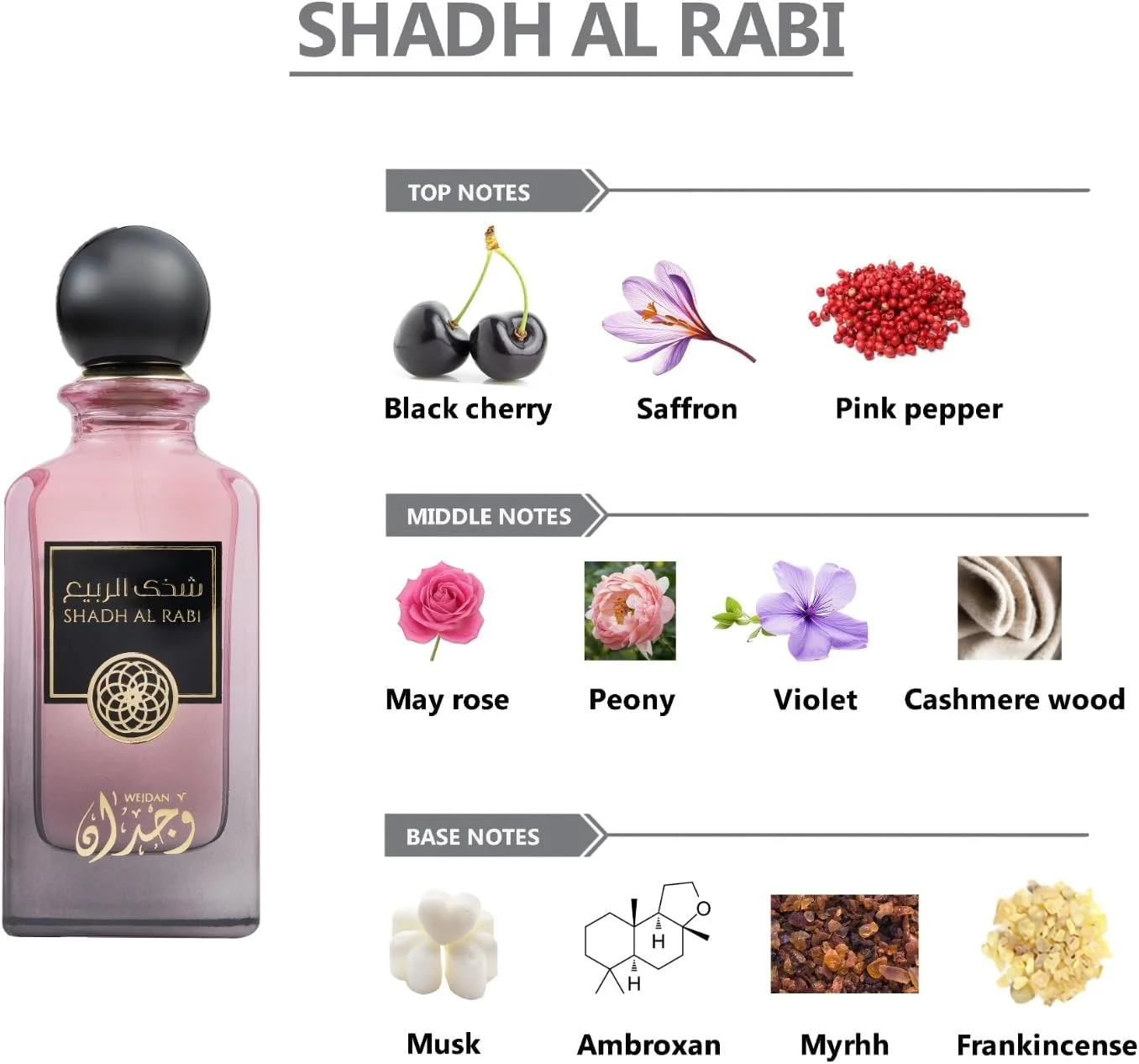 ادو پرفیوم زنانه WEJDAN Shadh Al Rabi - 100 میلی لیتر | عطر ممتاز و ماندگار | رایحه لوکس | مناسب برای کار، رویدادها و مناسبت های خاص ادو پرفیوم زنانه WEJDAN Shadh Al Rabi - 100 میلی لیتر | عطر ممتاز و ماندگار | رایحه لوکس | مناسب برای کار، رویدادها و مناسبت های خاص