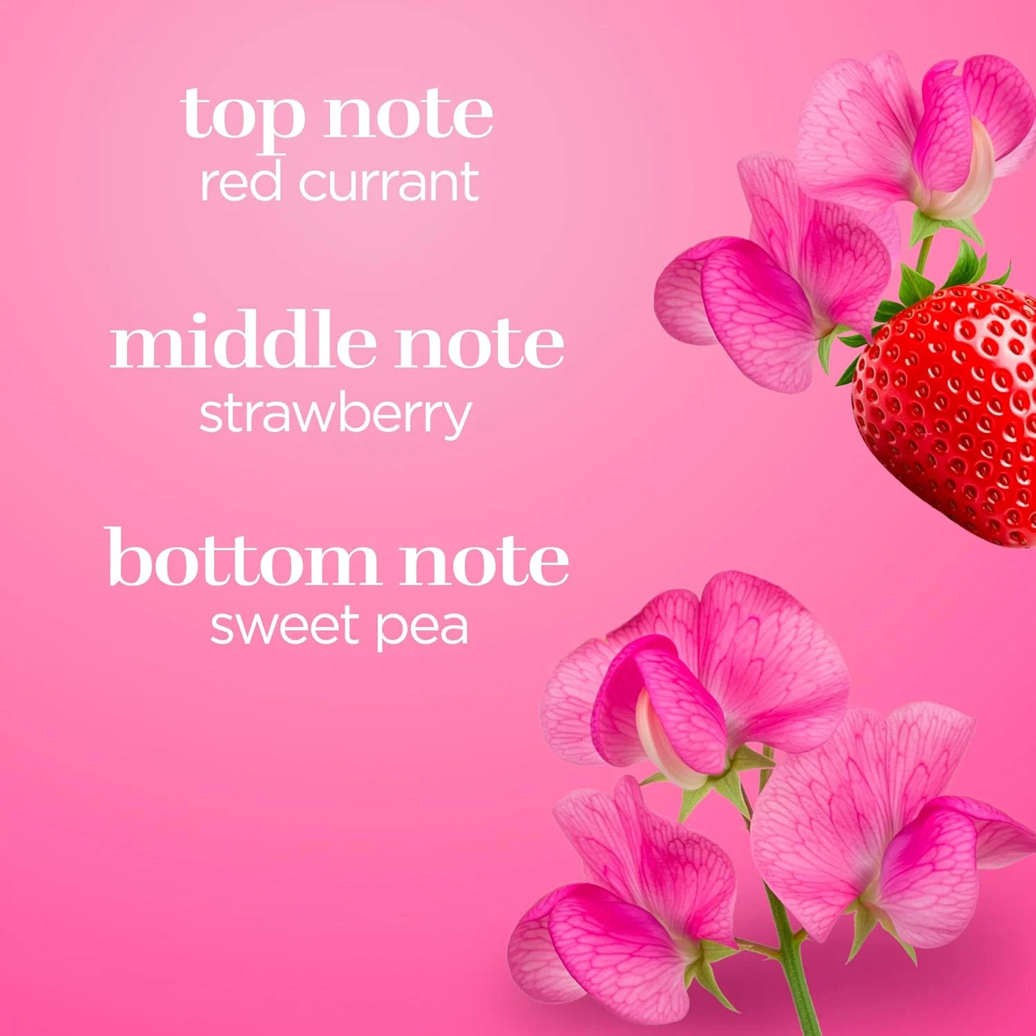 اسپری بدن زنانه بادی فانتزیز مدل Pink Sweet Pea Fantasy با رایحه گل نخود شیرین، 236 میلی لیتر