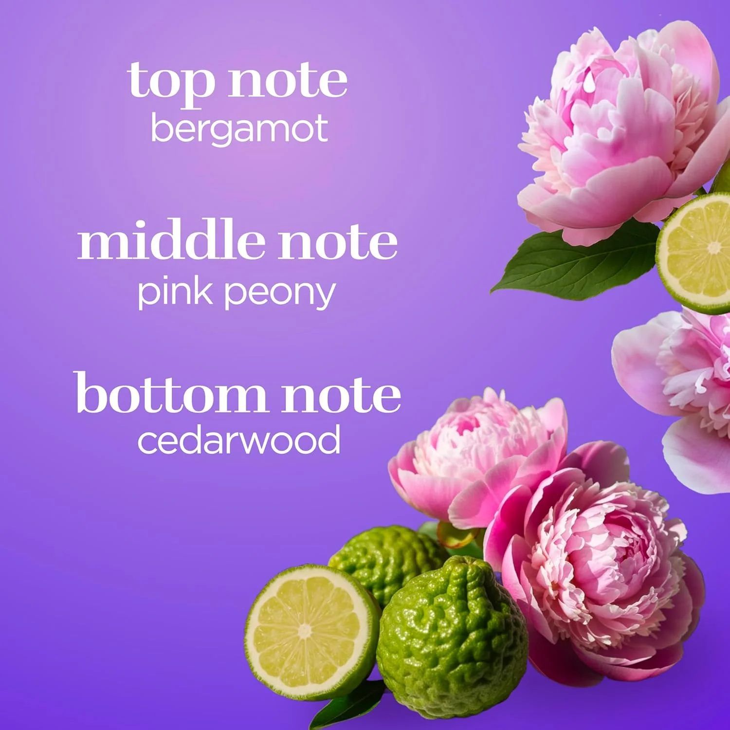 اسپری بدن معطر Body Fantasies Signature، Romance and Dreams، 8 اونس مایع اسپری بدن معطر Body Fantasies Signature، Romance and Dreams، 8 اونس مایع