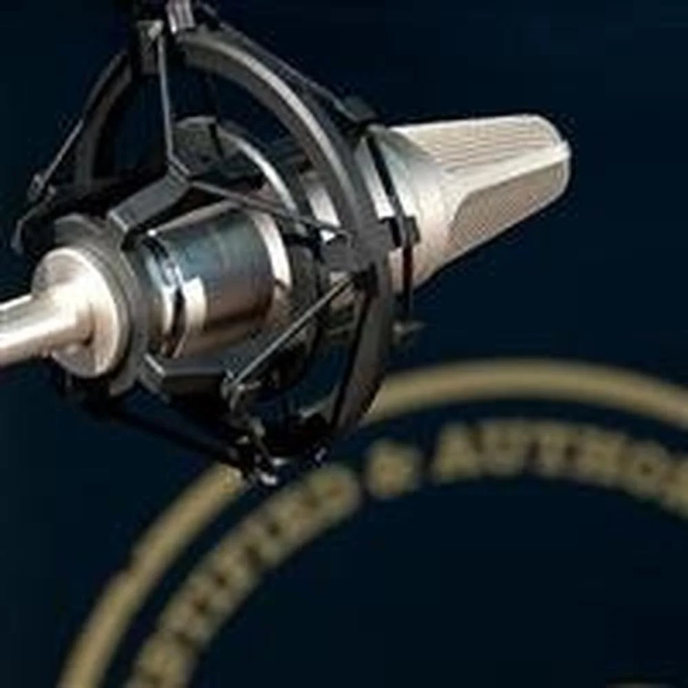 لرزه‌گیر میکروفون Rode SM2