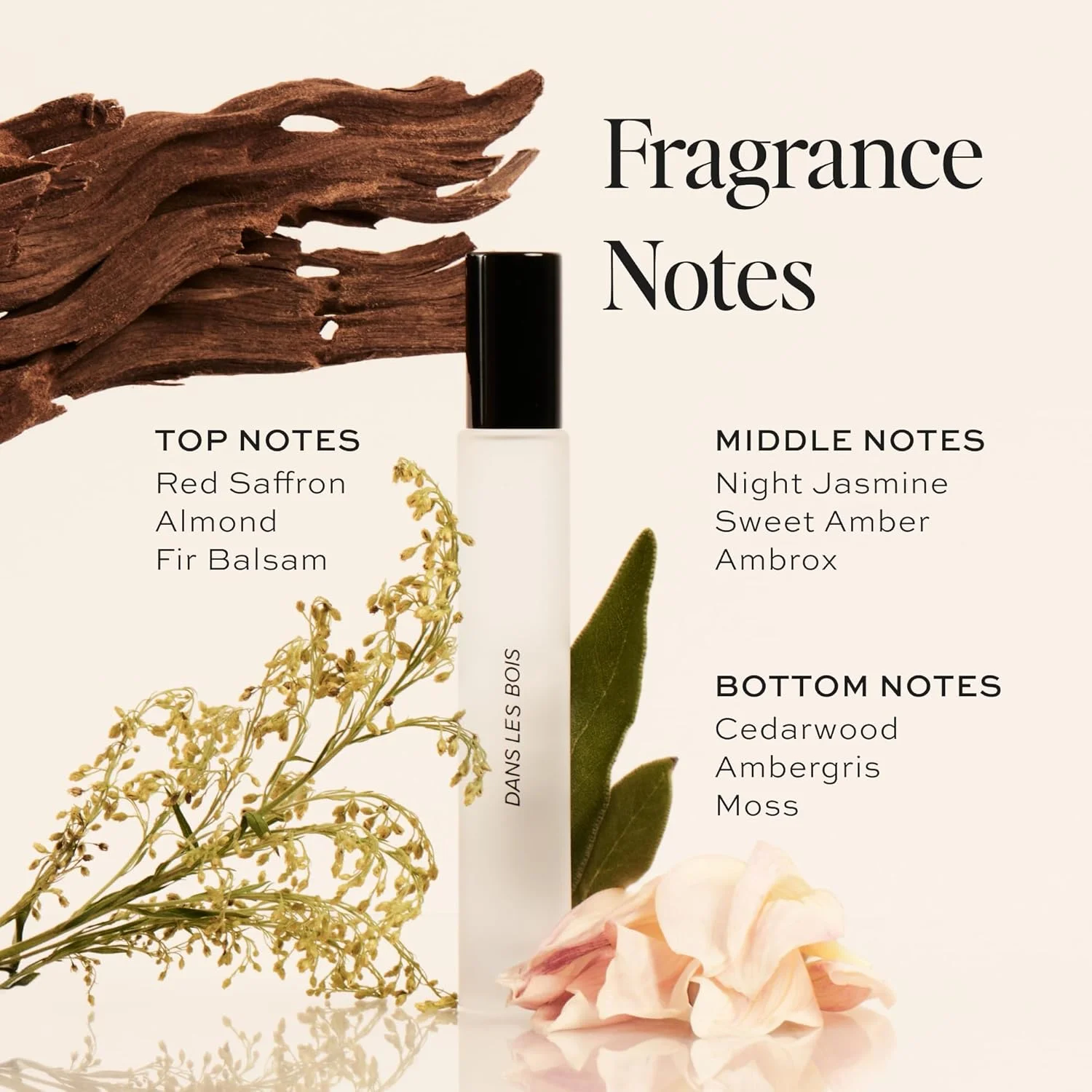 عطر زنانه دایم بیوتی Dans Les Bois، 10 میلی لیتر - اسپری عطر مسافرتی، رایحه زنانه و جسورانه، ضد حساسیت، عطر پاک، ادو تویلت زنانه عطر زنانه دایم بیوتی Dans Les Bois، 10 میلی لیتر - اسپری عطر مسافرتی، رایحه زنانه و جسورانه، ضد حساسیت، عطر پاک، ادو تویلت زنانه