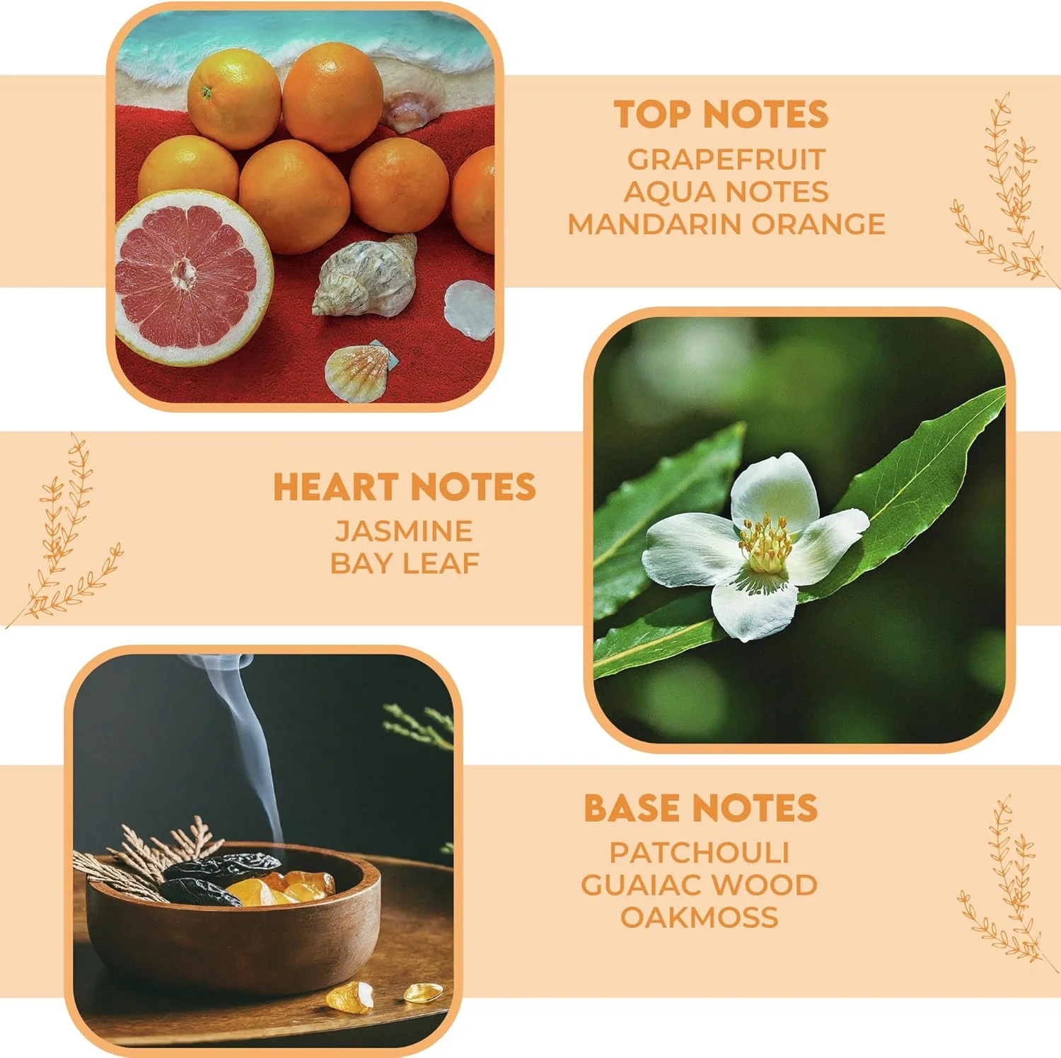 روغن عطر رولی Devinez با رایحه نسیم مرکبات - عطری شاداب و پیچیده برای خانم ها و آقایان | رایحه قابل حمل (دارای گواهی IFRA) 10 میلی لیتر روغن عطر رولی Devinez با رایحه نسیم مرکبات - عطری شاداب و پیچیده برای خانم ها و آقایان | رایحه قابل حمل (دارای گواهی IFRA) 10 میلی لیتر