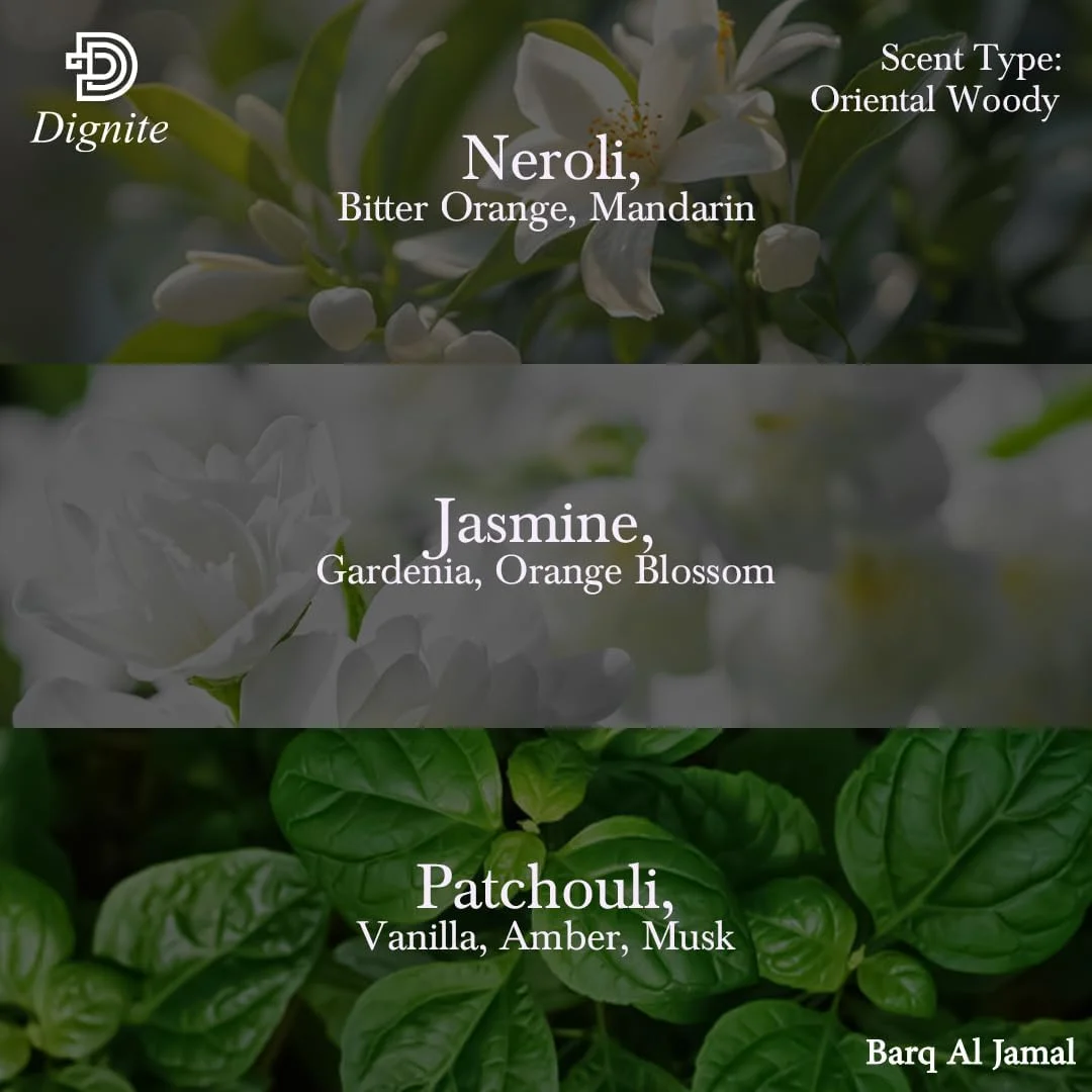 عطر زنانه دیگنیت برق الجمال 100 میلی لیتر – ادو پرفیوم – ترکیبی غنی از نرولی، گاردنیا و وانیل – رایحه ماندگار عطر زنانه دیگنیت برق الجمال 100 میلی لیتر – ادو پرفیوم – ترکیبی غنی از نرولی، گاردنیا و وانیل – رایحه ماندگار