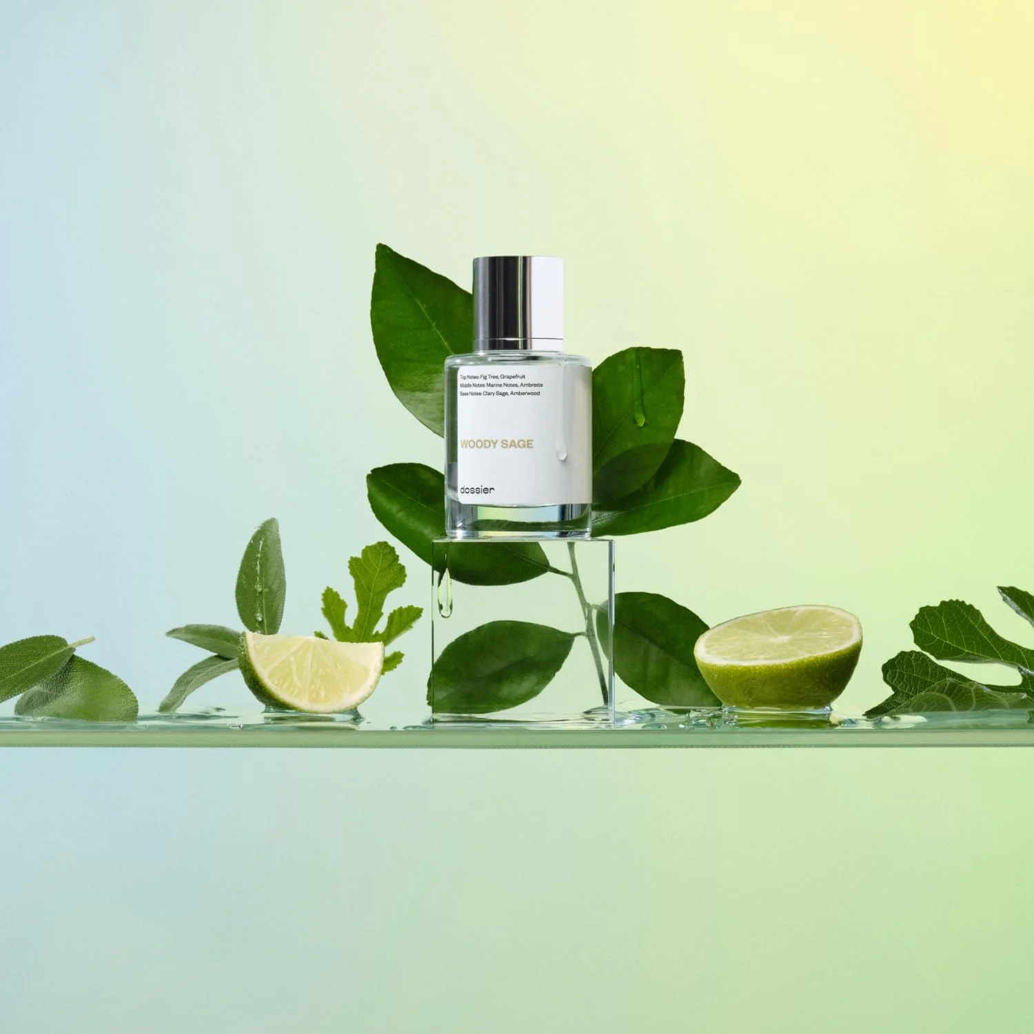 دوسیه - مریم گلی چوبی - ادو پرفیوم - الهام گرفته از Wood Sage & Sea Salt از J.Malone - عطر لوکس - تزریق خالص - بدون پارابن - وگان - برای زنان مردان унисекс - رایحه 1.7oz (اسپری 50ml) دوسیه - مریم گلی چوبی - ادو پرفیوم - الهام گرفته از Wood Sage & Sea Salt از J.Malone - عطر لوکس - تزریق خالص - بدون پارابن - وگان - برای زنان مردان унисекс - رایحه 1.7oz (اسپری 50ml)