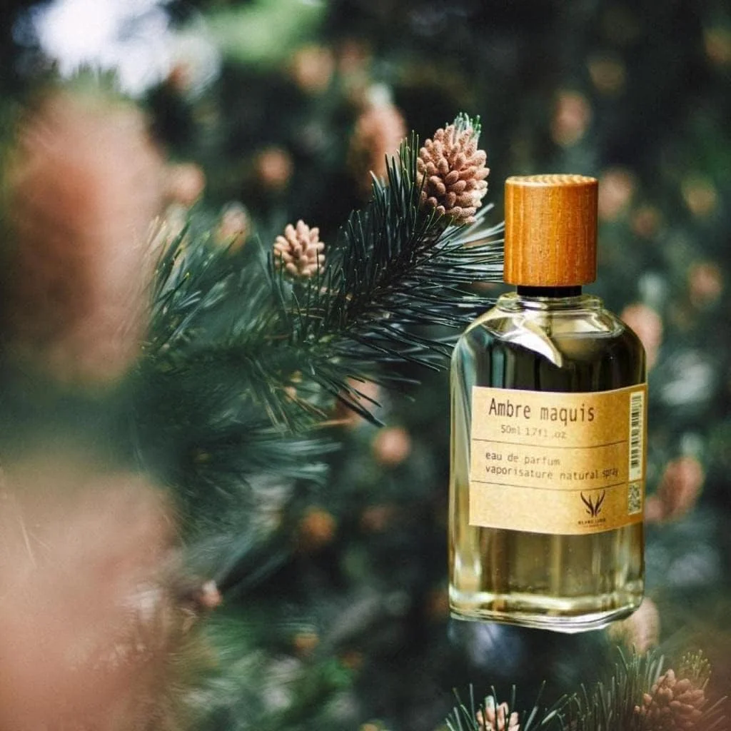 ادکلن غدد پاریس Ambre maquis Eau de Parfum Vaporisature اسپری عطر طبیعی 50 میلی لیتر 1.7 fl oz ادکلن غدد پاریس Ambre maquis Eau de Parfum Vaporisature اسپری عطر طبیعی 50 میلی لیتر 1.7 fl oz
