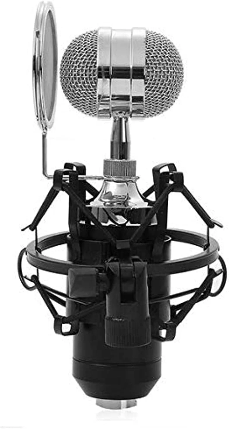 میکروفون سیم دار کندانسور مشکی eWINNER با پایه نگهدارنده و پاپ فیلتر برای استودیو ضبط و کارائوکه KTV