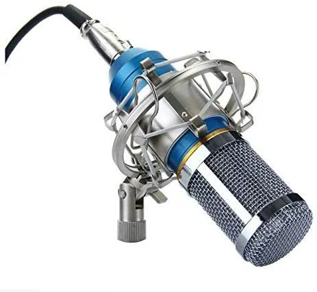 میکروفون استودیویی کندانسور حرفه ای ضبط صدا eWINNER BM-800 به همراه لرزه گیر (Shock Mount) مناسب برای پخش رادیویی و خوانندگی - آبی
