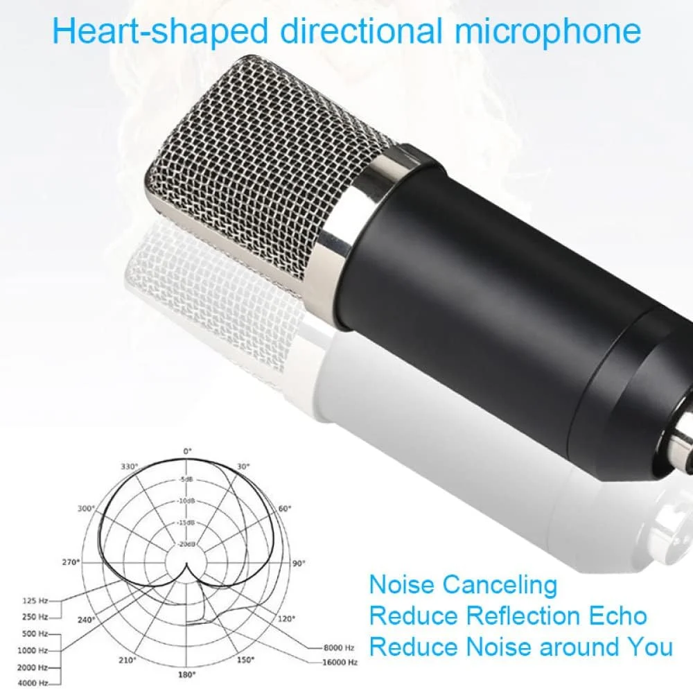 میکروفون کندانسور حرفه ای eWINNER BM700 کیت ضبط استودیویی آواز کارائوکه با کابل 3.5 میلی متری نر به XLR مادگی (مشکی/S)