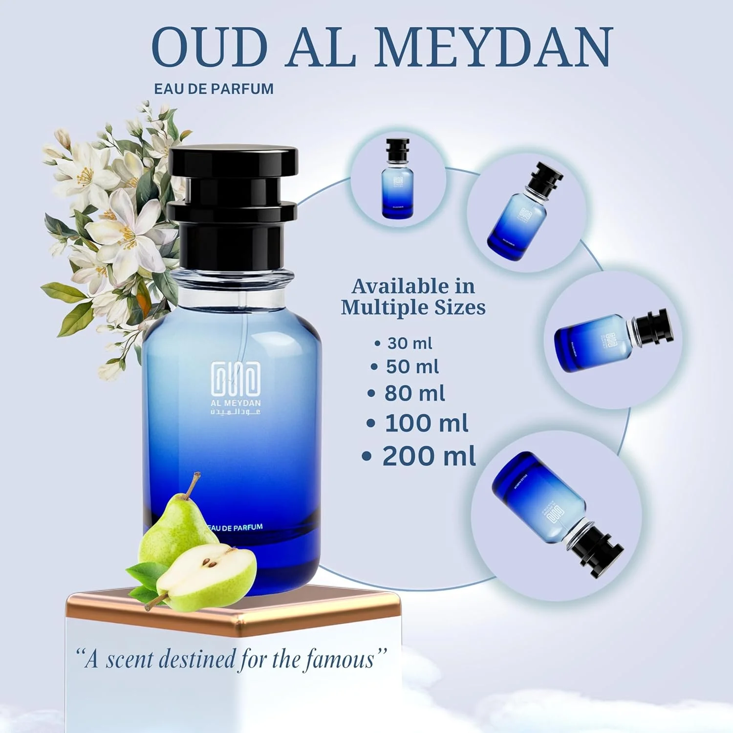 عطر روغنی عود المیدان زنانه – الهام گرفته از La Vee Est Bele، شیرین و لذیذ با رایحه های انگور فرنگی سیاه، زنبق و وانیل – بدون الکل – ماندگاری 8-10 ساعته برای ظرافت شبانه (50 میلی لیتر)