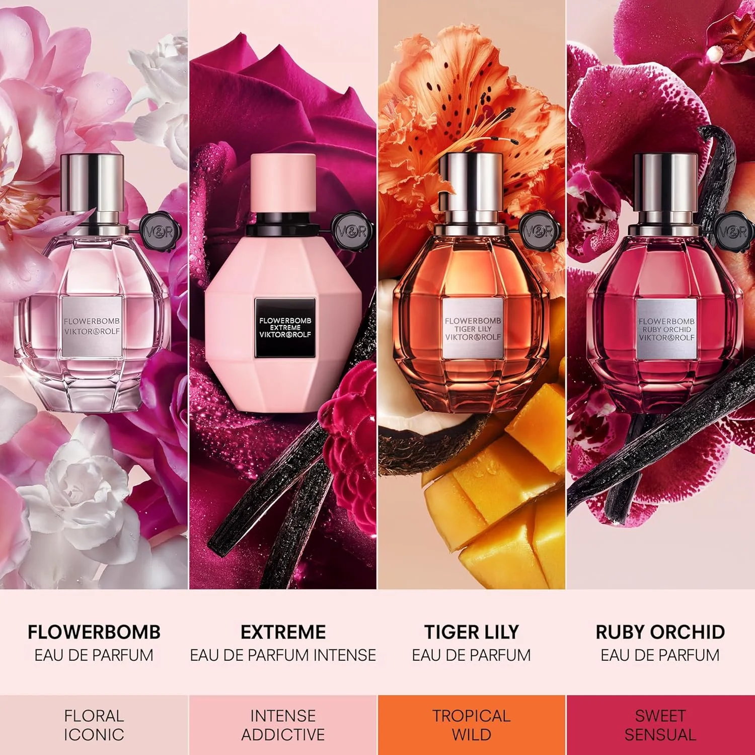 ویکتور اند رولف - ادو پرفیوم فلاوربمب روبی ارکید - عطر زنانه - گلی و میوه ای - با رایحه وانیل و هلو - 10 میلی لیتر - سایز مسافرتی ویکتور اند رولف - ادو پرفیوم فلاوربمب روبی ارکید - عطر زنانه - گلی و میوه ای - با رایحه وانیل و هلو - 10 میلی لیتر - سایز مسافرتی