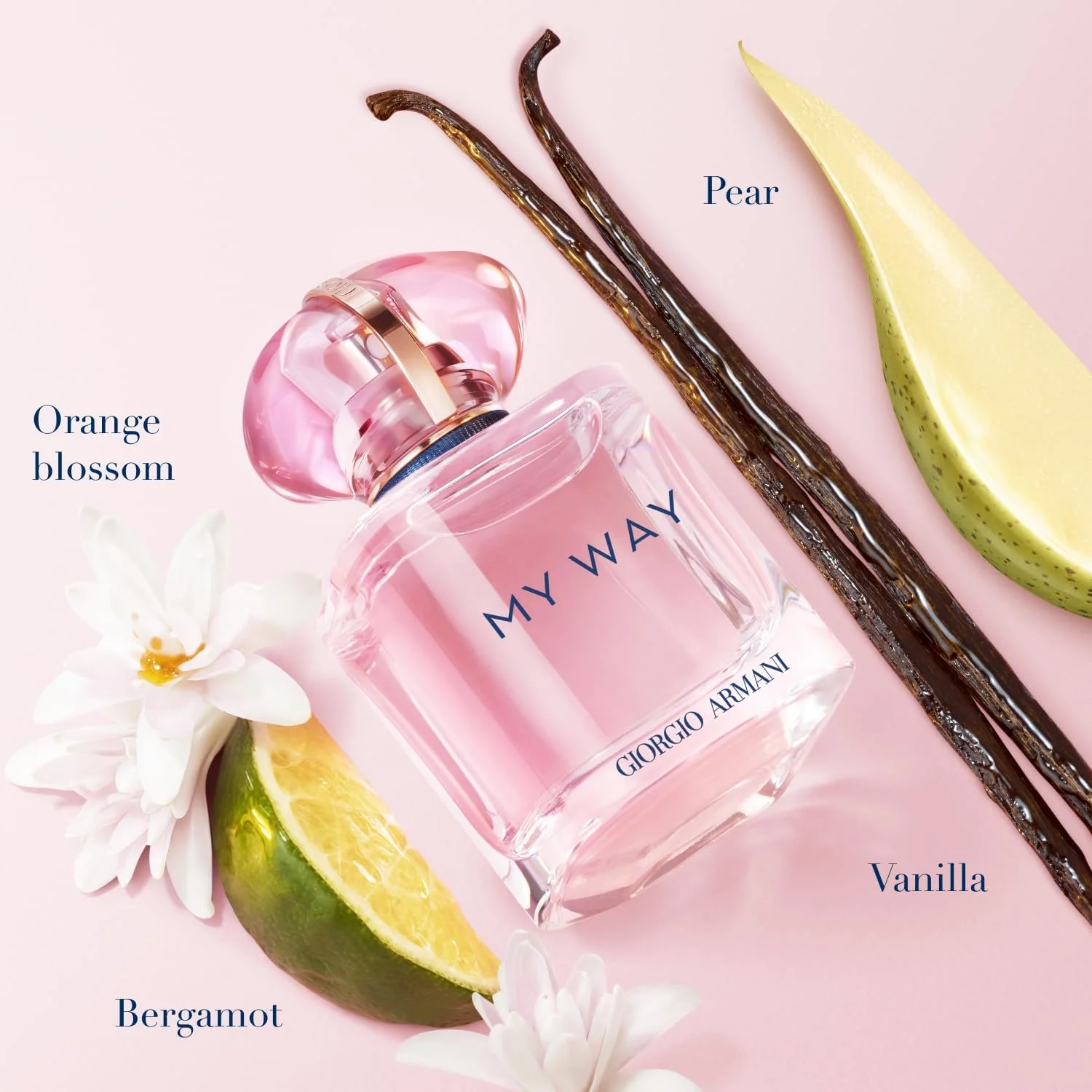 عطر زنانه جورجیو آرمانی مای وی نکتار ادو پرفیوم 90 میلی لیتر عطر زنانه جورجیو آرمانی مای وی نکتار ادو پرفیوم 90 میلی لیتر