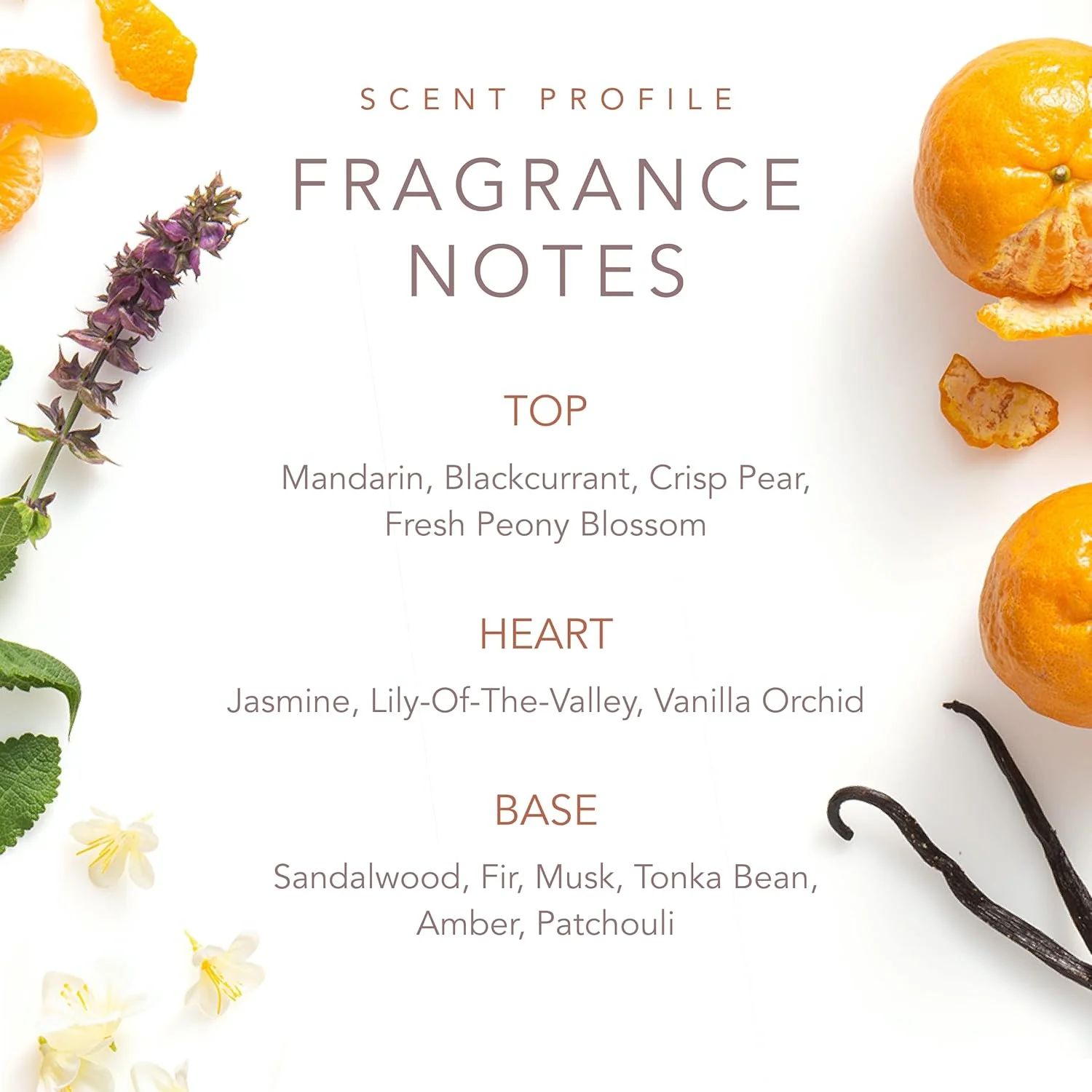 عطر رولی زنانه دالی پارتون Scent From Above - ادو پرفیوم با رایحه گلی، میوه ای، روزمره و زنانه با نت های ماندارین، یاس و چوب صندل - 10 میلی لیتر