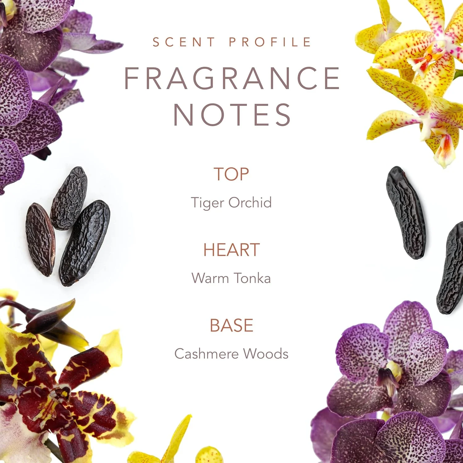 اسپری بدن دالی پارتون Scent Beauty - عطر زنانه - 236 میلی لیتر - Smoky Mountain اسپری بدن دالی پارتون Scent Beauty - عطر زنانه - 236 میلی لیتر - Smoky Mountain