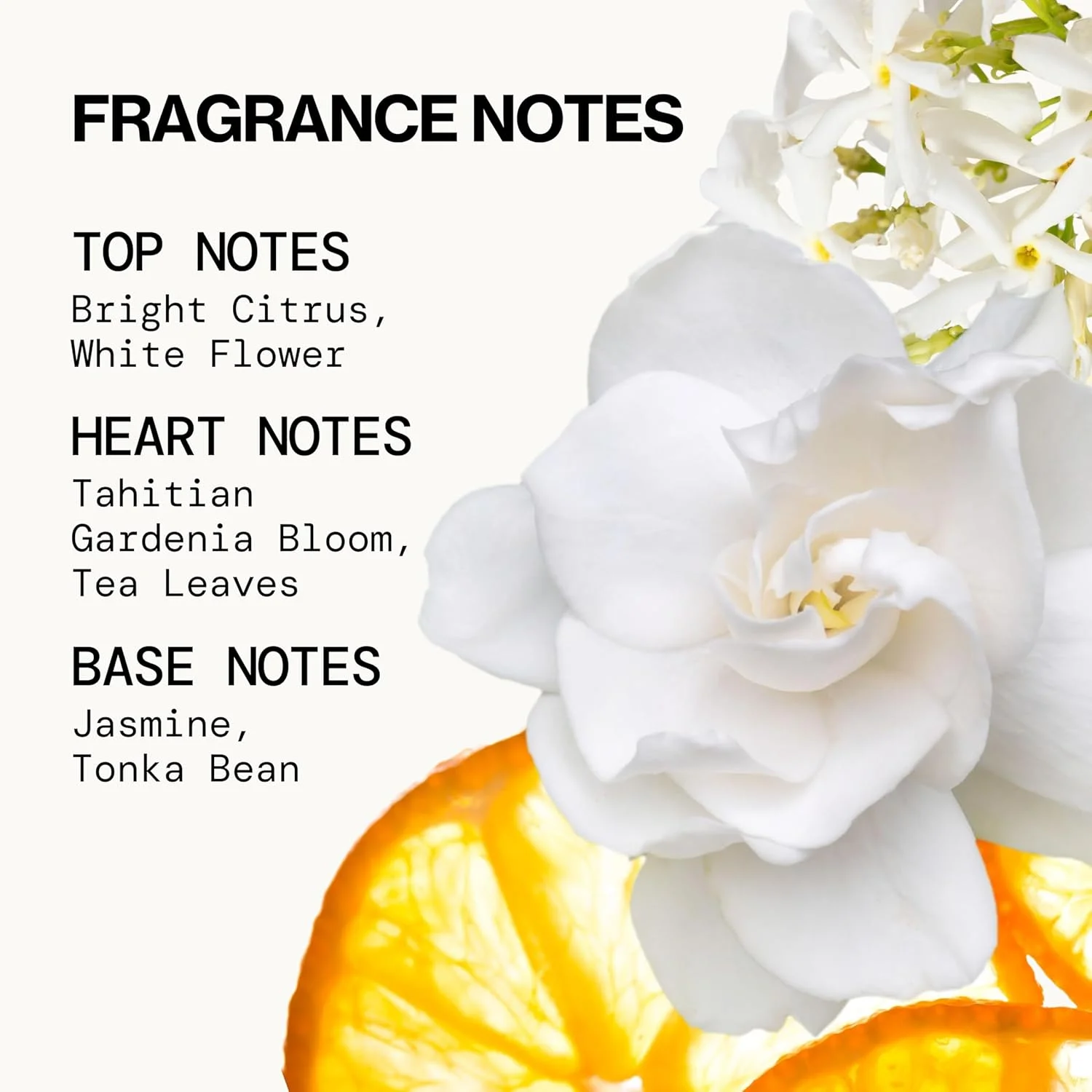 عطر اسپری پاسیفیکا گاردنیا تاهیتی 30 میلی لیتر عطر اسپری پاسیفیکا گاردنیا تاهیتی 30 میلی لیتر