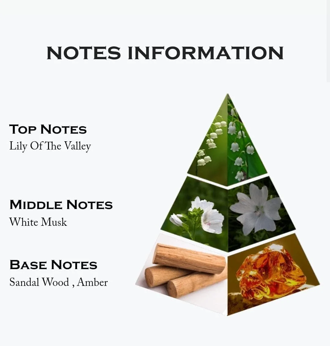 عطر نسیم مشک صافی با رایحه ملایم ادو پرفیوم مردانه و زنانه 100 میلی لیتر عطر نسیم مشک صافی با رایحه ملایم ادو پرفیوم مردانه و زنانه 100 میلی لیتر