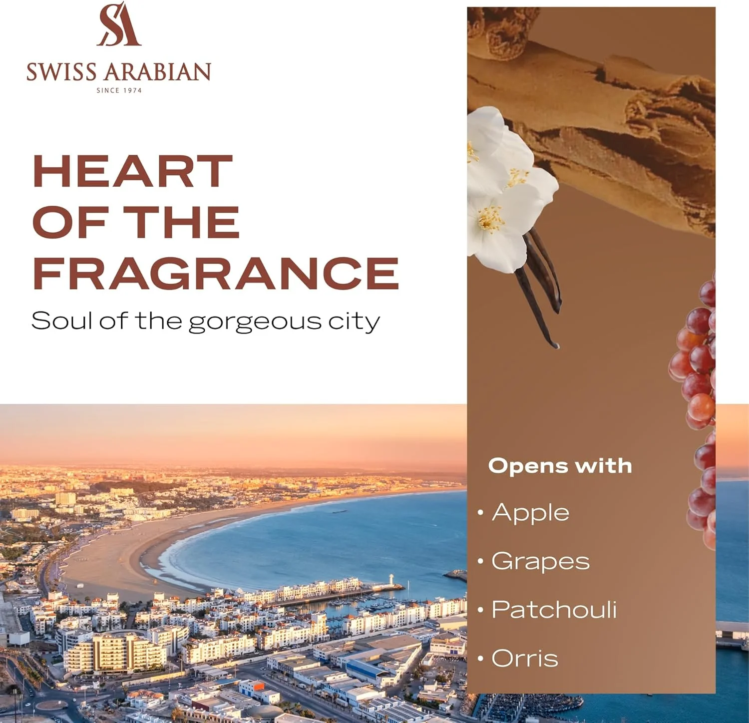 عطر سوییس عربین اسنس آف کازابلانکا اکستریت د پرفیوم 100 میلی لیتر، عطر با کیفیت عالی، رایحه унисекс، میوه ای، چوبی، کهربا، عطر ترکیبی لوکس برای زنان و مردان عطر سوییس عربین اسنس آف کازابلانکا اکستریت د پرفیوم 100 میلی لیتر، عطر با کیفیت عالی، رایحه унисекс، میوه ای، چوبی، کهربا، عطر ترکیبی لوکس برای زنان و مردان
