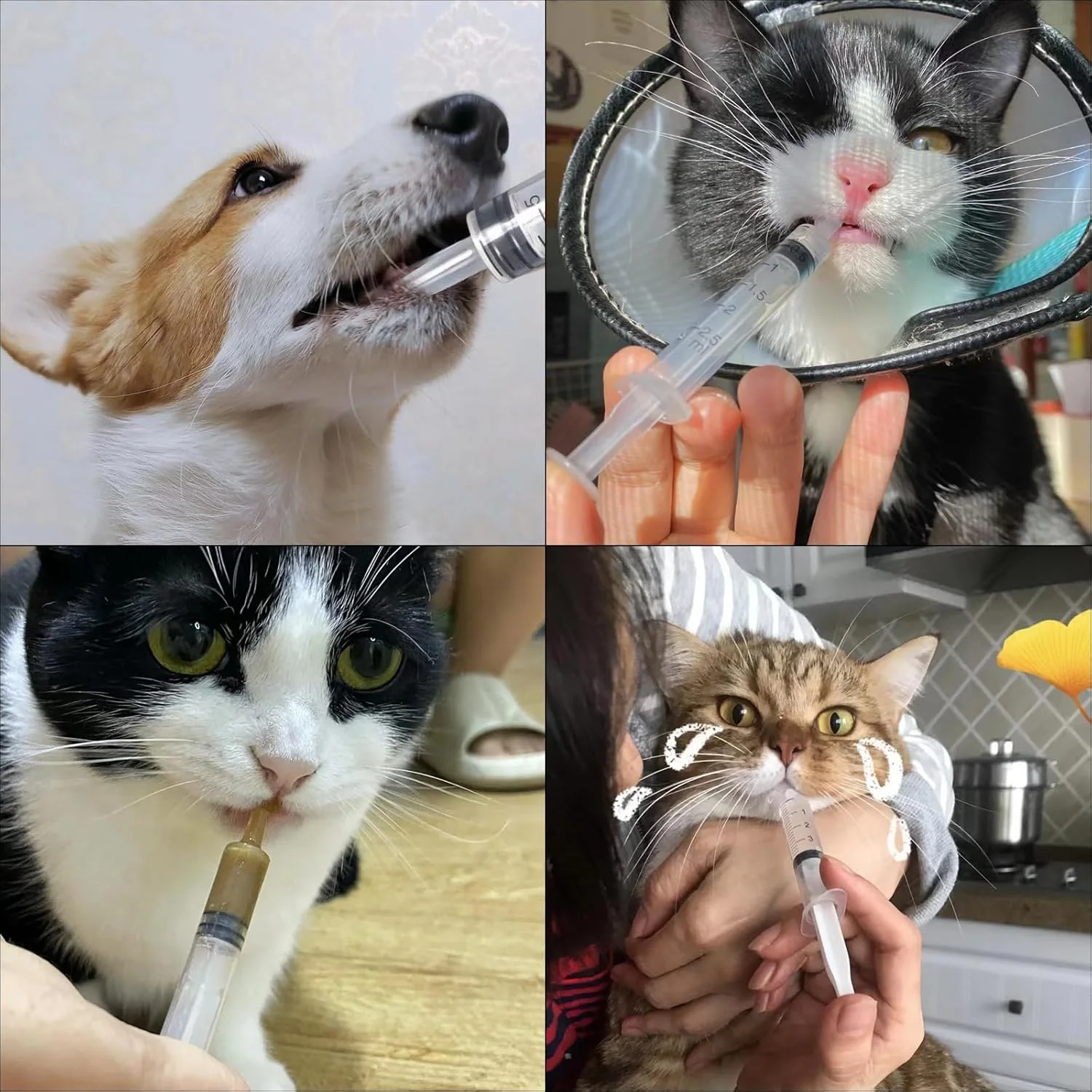 سرنگ تغذیه حیوانات خانگی نالاینا، بسته 6 عددی سرنگ 20 سی سی، قابل استفاده مجدد، با اندازه گیری های واضح، برای گربه ها، سگ ها، حیوانات کوچک، تزریق مایع (بدون سوزن)