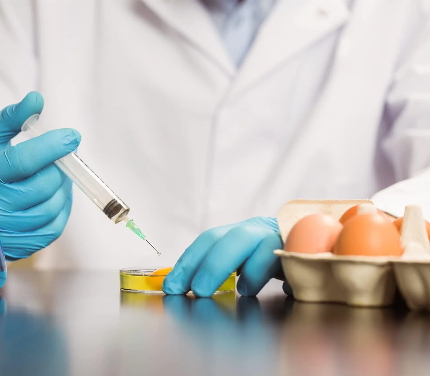 بسته 100 عددی سرنگ پلاستیکی 3 میلی لیتری KystuCare با گیج 23، سرنگ های تزریق نمونه آزمایشگاهی برای آزمایشگاه های علمی صنعتی، اندازه گیری مایعات، پر کردن مجدد جوهر، اپلیکاتور روغن یا چسب بسته 100 عددی سرنگ پلاستیکی 3 میلی لیتری KystuCare با گیج 23، سرنگ های تزریق نمونه آزمایشگاهی برای آزمایشگاه های علمی صنعتی، اندازه گیری مایعات، پر کردن مجدد جوهر، اپلیکاتور روغن یا چسب