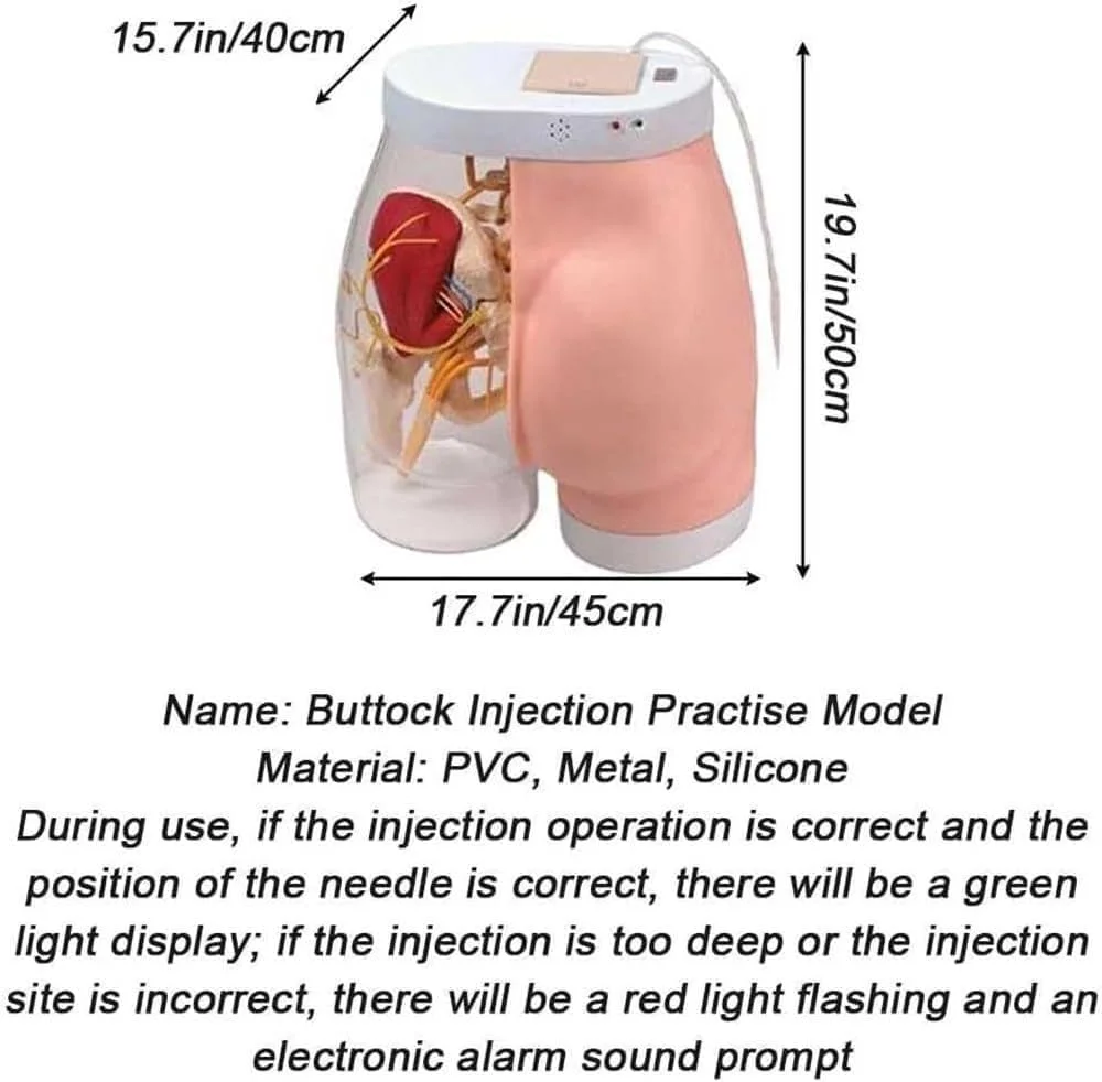 مدل تزریق باسن، شبیه ساز آموزش تزریق باسن مدل نیمه شفاف تمرین تزریق عضلانی باسن، مدل آموزش تزریق عضلانی برای آموزش دانشجویان پزشکی مدل تزریق باسن، شبیه ساز آموزش تزریق باسن مدل نیمه شفاف تمرین تزریق عضلانی باسن، مدل آموزش تزریق عضلانی برای آموزش دانشجویان پزشکی