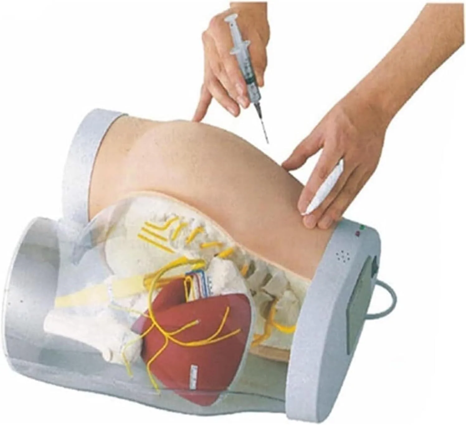 مدل تزریق باسن Bakzo، مدل آموزش تزریق عضلانی، شبیه ساز آموزش تزریق باسن مدل تمرین تزریق عضلات باسن نیمه شفاف برای آموزش دانشجویان پزشکی مدل تزریق باسن Bakzo، مدل آموزش تزریق عضلانی، شبیه ساز آموزش تزریق باسن مدل تمرین تزریق عضلات باسن نیمه شفاف برای آموزش دانشجویان پزشکی