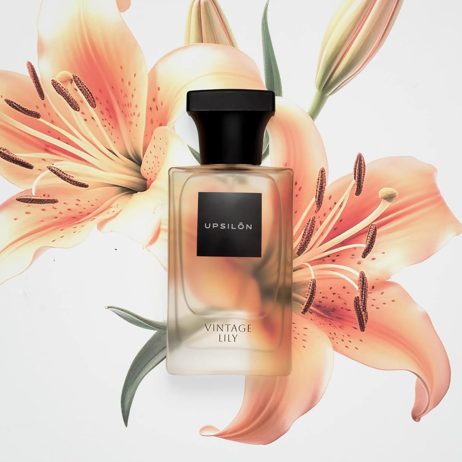 ادو پرفیوم زنانه یوپسیلون مدل Vintage Lily | عطر ممتاز با ماندگاری طولانی، رایحه ای تازه و قوی، اسپری عطر لوکس مناسب سفر | عطر زنانه | رایحه ادو پرفیوم | 50 میلی لیتر - بسته 1 عددی ادو پرفیوم زنانه یوپسیلون مدل Vintage Lily | عطر ممتاز با ماندگاری طولانی، رایحه ای تازه و قوی، اسپری عطر لوکس مناسب سفر | عطر زنانه | رایحه ادو پرفیوم | 50 میلی لیتر - بسته 1 عددی