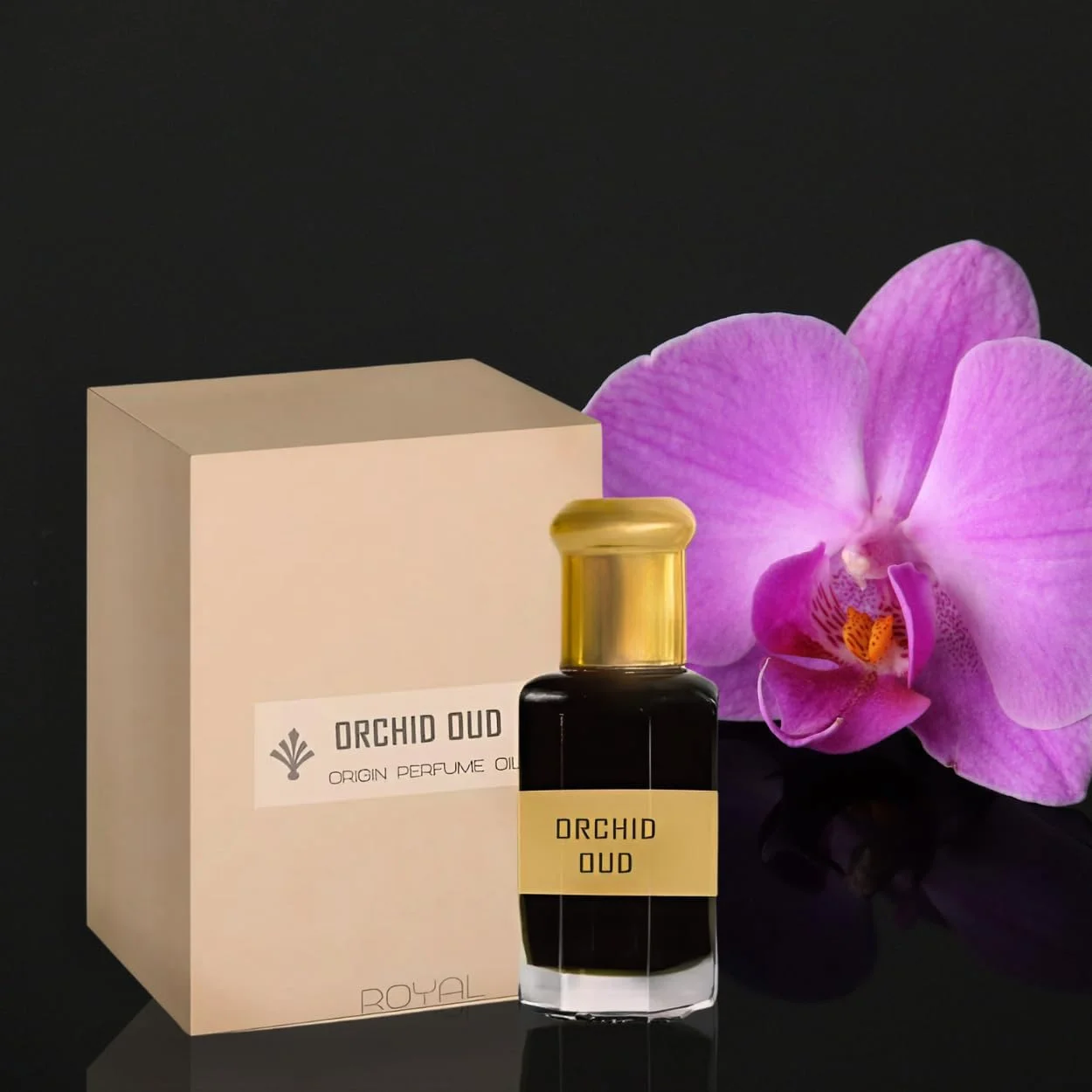 روغن عطر ارکیده عود TSZ Scent 3ml – روغن عطر عربی لوکس برای مردان و زنان | رایحه ماندگار یونیسکس با ارکیده سیاه، عنبر و چوب صندل | مقاوم در برابر حرارت برای آب و هوای امارات روغن عطر ارکیده عود TSZ Scent 3ml – روغن عطر عربی لوکس برای مردان و زنان | رایحه ماندگار یونیسکس با ارکیده سیاه، عنبر و چوب صندل | مقاوم در برابر حرارت برای آب و هوای امارات