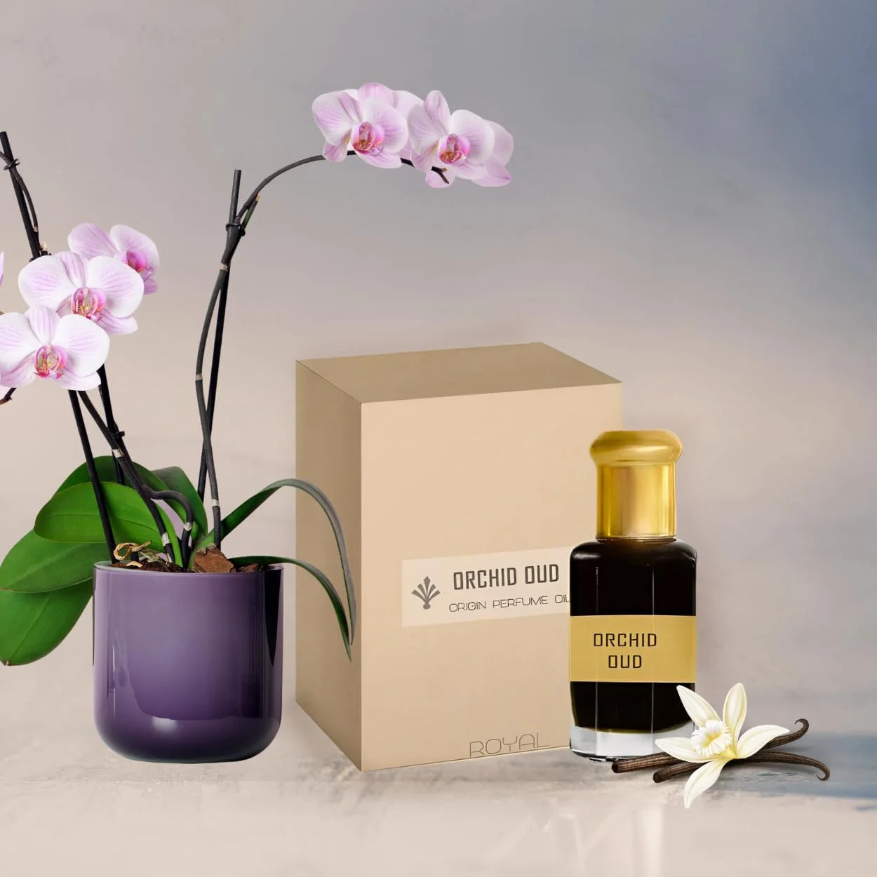 روغن عطر ارکیده عود TSZ Scent 3ml – روغن عطر عربی لوکس برای مردان و زنان | رایحه ماندگار یونیسکس با ارکیده سیاه، عنبر و چوب صندل | مقاوم در برابر حرارت برای آب و هوای امارات روغن عطر ارکیده عود TSZ Scent 3ml – روغن عطر عربی لوکس برای مردان و زنان | رایحه ماندگار یونیسکس با ارکیده سیاه، عنبر و چوب صندل | مقاوم در برابر حرارت برای آب و هوای امارات