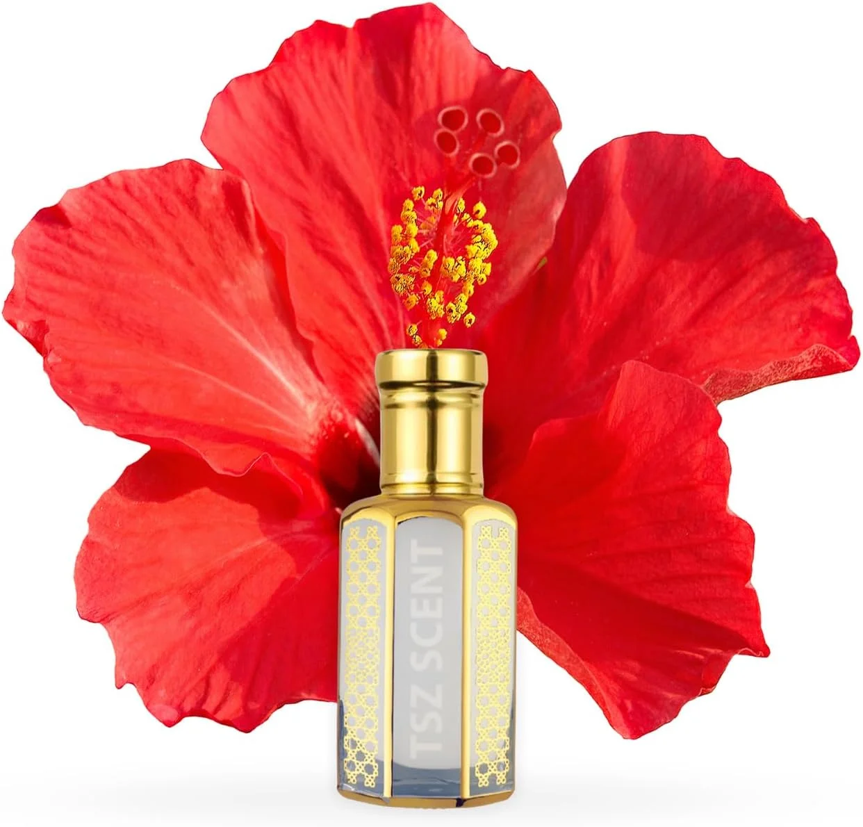 روغن عطر تی اس زد رایحه هیبیسکوس مشک 12 میلی لیتر - عطر ماندگار و رمانتیک برای زنان و مردان | رایحه لوکس گل و مشک برای استفاده روزمره