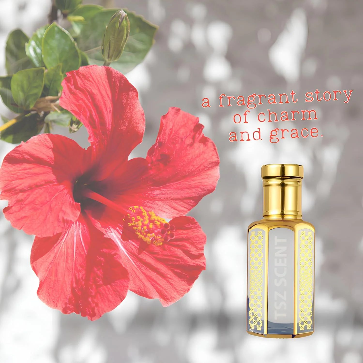 روغن عطر تی اس زد رایحه هیبیسکوس مشک 12 میلی لیتر - عطر ماندگار و رمانتیک برای زنان و مردان | رایحه لوکس گل و مشک برای استفاده روزمره روغن عطر تی اس زد رایحه هیبیسکوس مشک 12 میلی لیتر - عطر ماندگار و رمانتیک برای زنان و مردان | رایحه لوکس گل و مشک برای استفاده روزمره