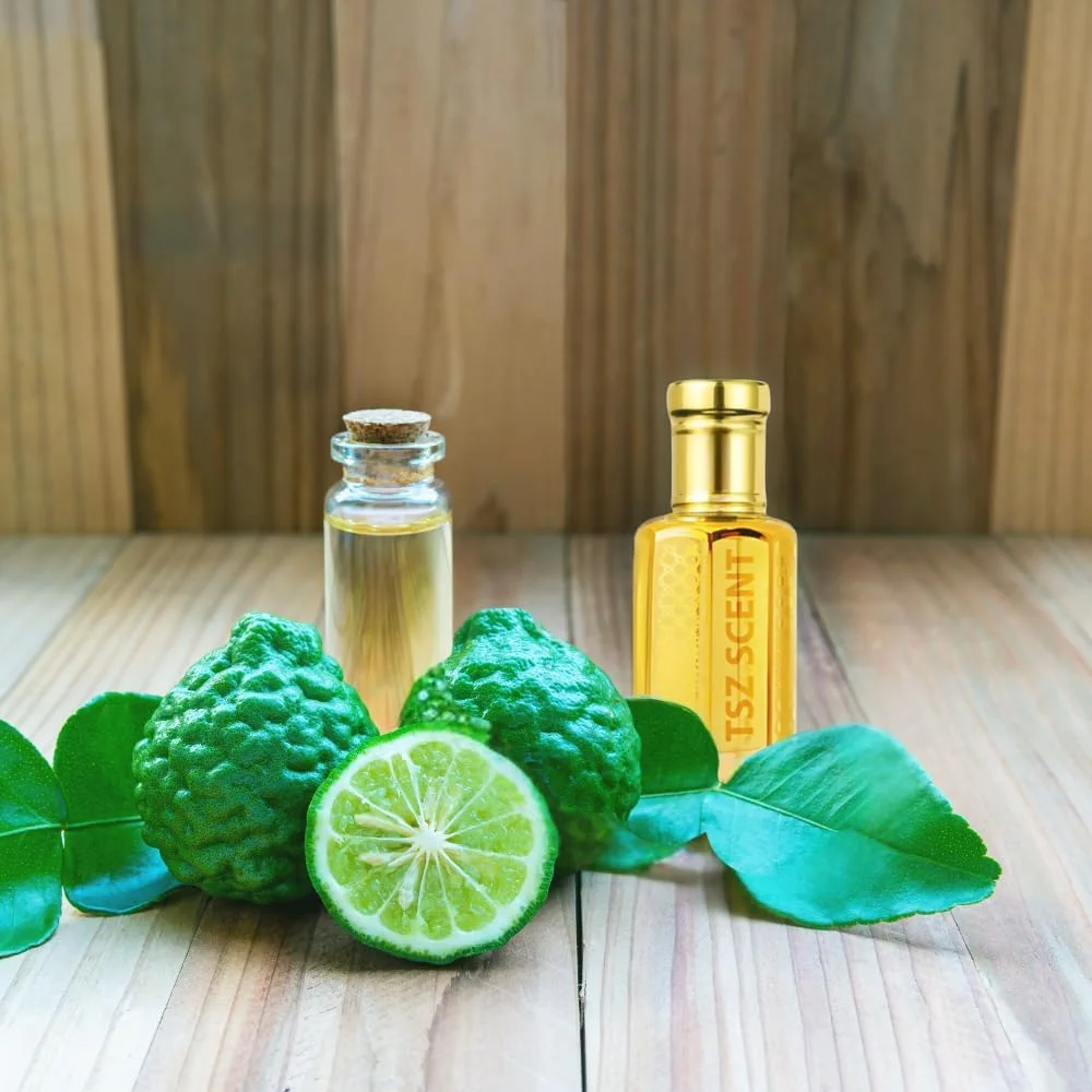 روغن عطر برگاموت فرش تی اس زد، 12 میلی لیتر، رایحه مرکباتی یونیسکس، ماندگاری طولانی روغن عطر برگاموت فرش تی اس زد، 12 میلی لیتر، رایحه مرکباتی یونیسکس، ماندگاری طولانی