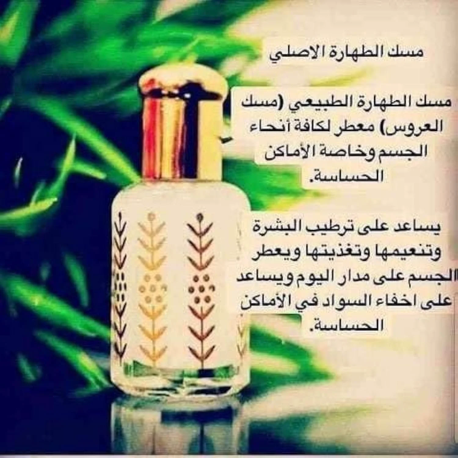 روغن عطر مشک الطهاره خالص TSZ Scent - یک توله، روغن عطر مشک برای مردان و زنان 12 میلی لیتر، عطر унисекс، مسک الطهاره الابيض الفرنسي الاصلي