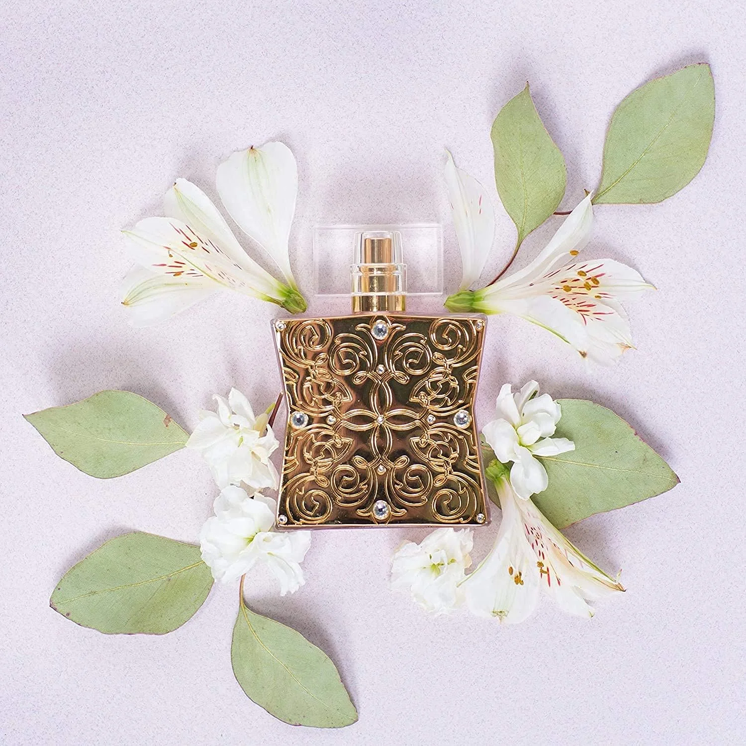 ادو پرفیوم زنانه Tru Fragrance Beauty Lace by Western - رایحه گلی میوه ای با نت های مرکبات، مشک، رز و یاس - 50 میلی لیتر ادو پرفیوم زنانه Tru Fragrance Beauty Lace by Western - رایحه گلی میوه ای با نت های مرکبات، مشک، رز و یاس - 50 میلی لیتر
