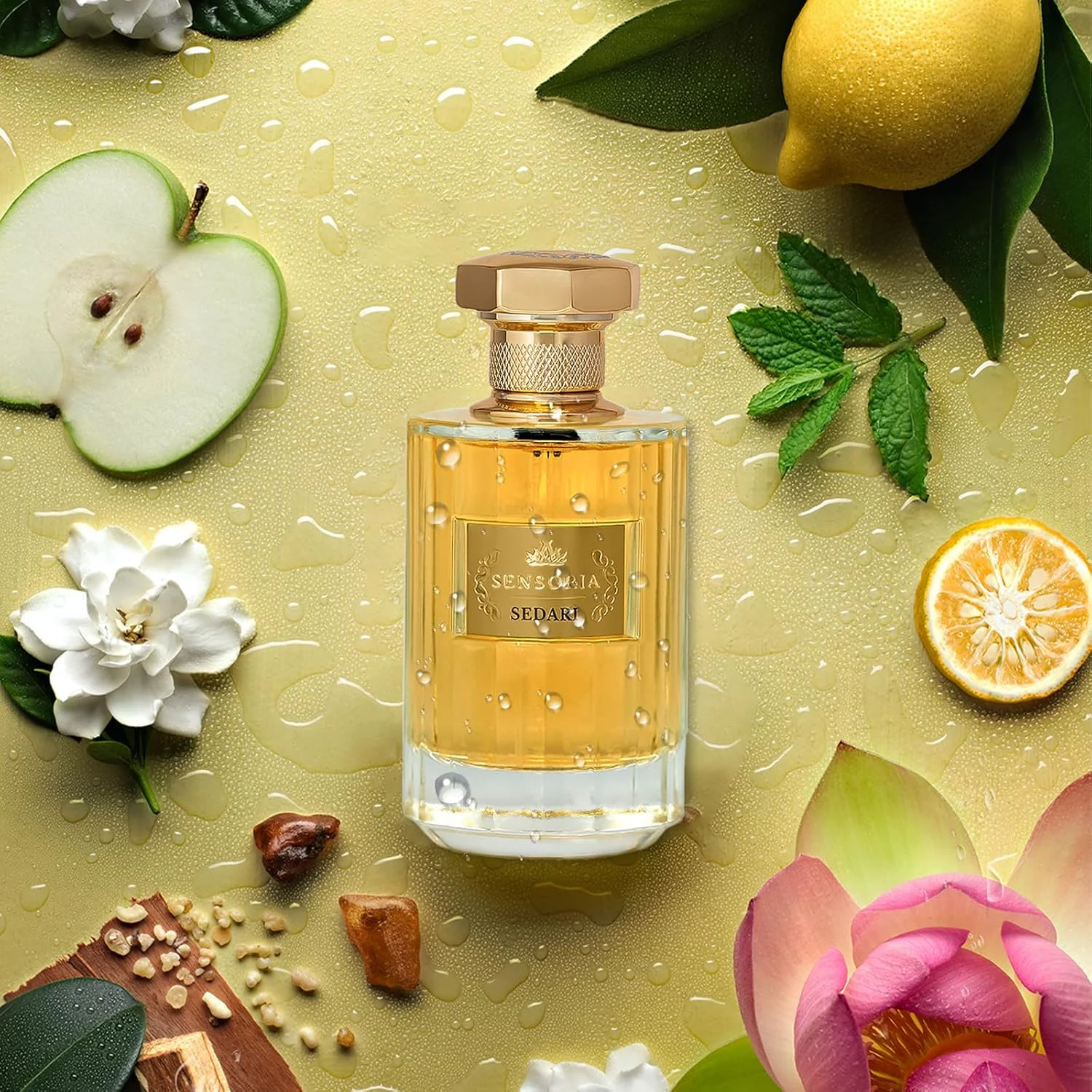 عطر سدری سنسوریا اکستریت د پرفیوم 100 میلی لیتر | عطر نیش ماندگار یونیسکس | عطر لوکس برای مردان و زنان | رایحه تصفیه شده و مطمئن برای همه مناسبت ها عطر سدری سنسوریا اکستریت د پرفیوم 100 میلی لیتر | عطر نیش ماندگار یونیسکس | عطر لوکس برای مردان و زنان | رایحه تصفیه شده و مطمئن برای همه مناسبت ها