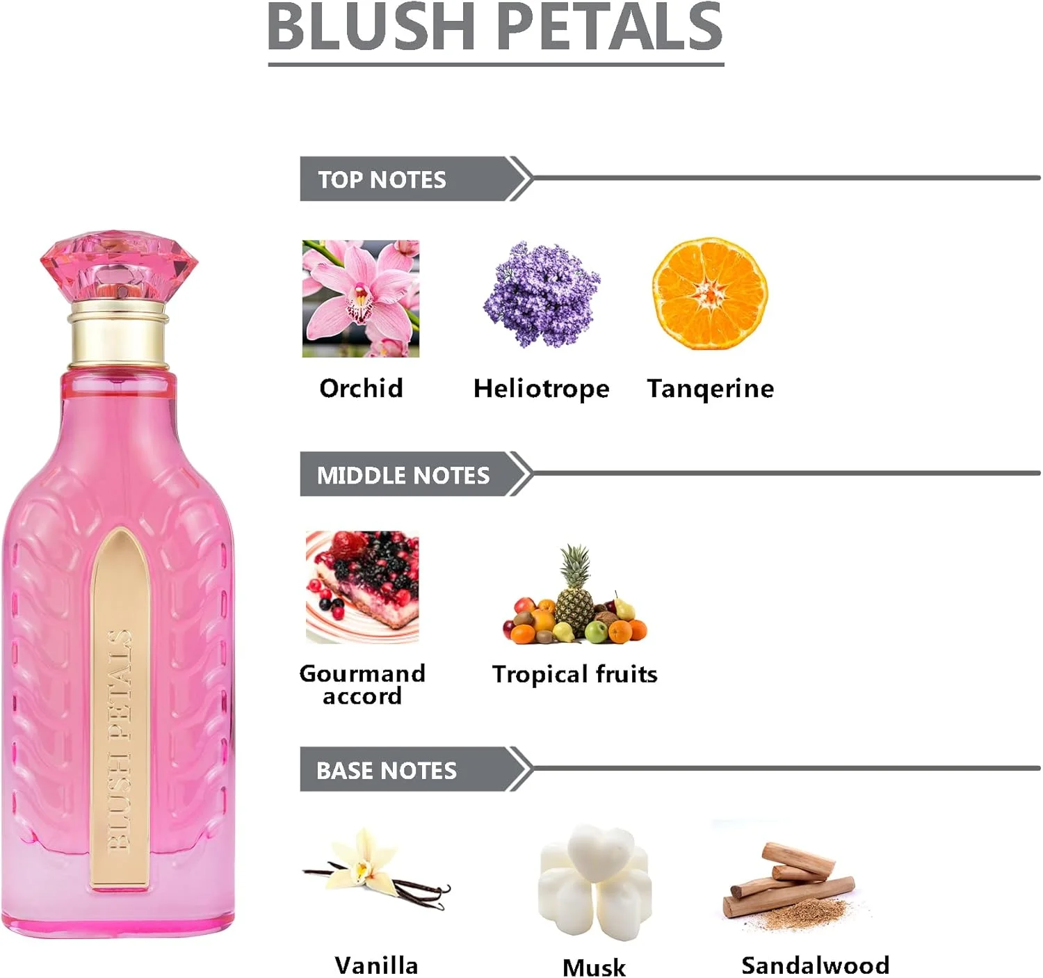 ادو پرفیوم زنانه ریوُلو Blush Petals - 100 میلی لیتر | عطر ممتاز و ماندگار | رایحه لوکس | مناسب برای کار، رویدادها و مناسبت های خاص ادو پرفیوم زنانه ریوُلو Blush Petals - 100 میلی لیتر | عطر ممتاز و ماندگار | رایحه لوکس | مناسب برای کار، رویدادها و مناسبت های خاص