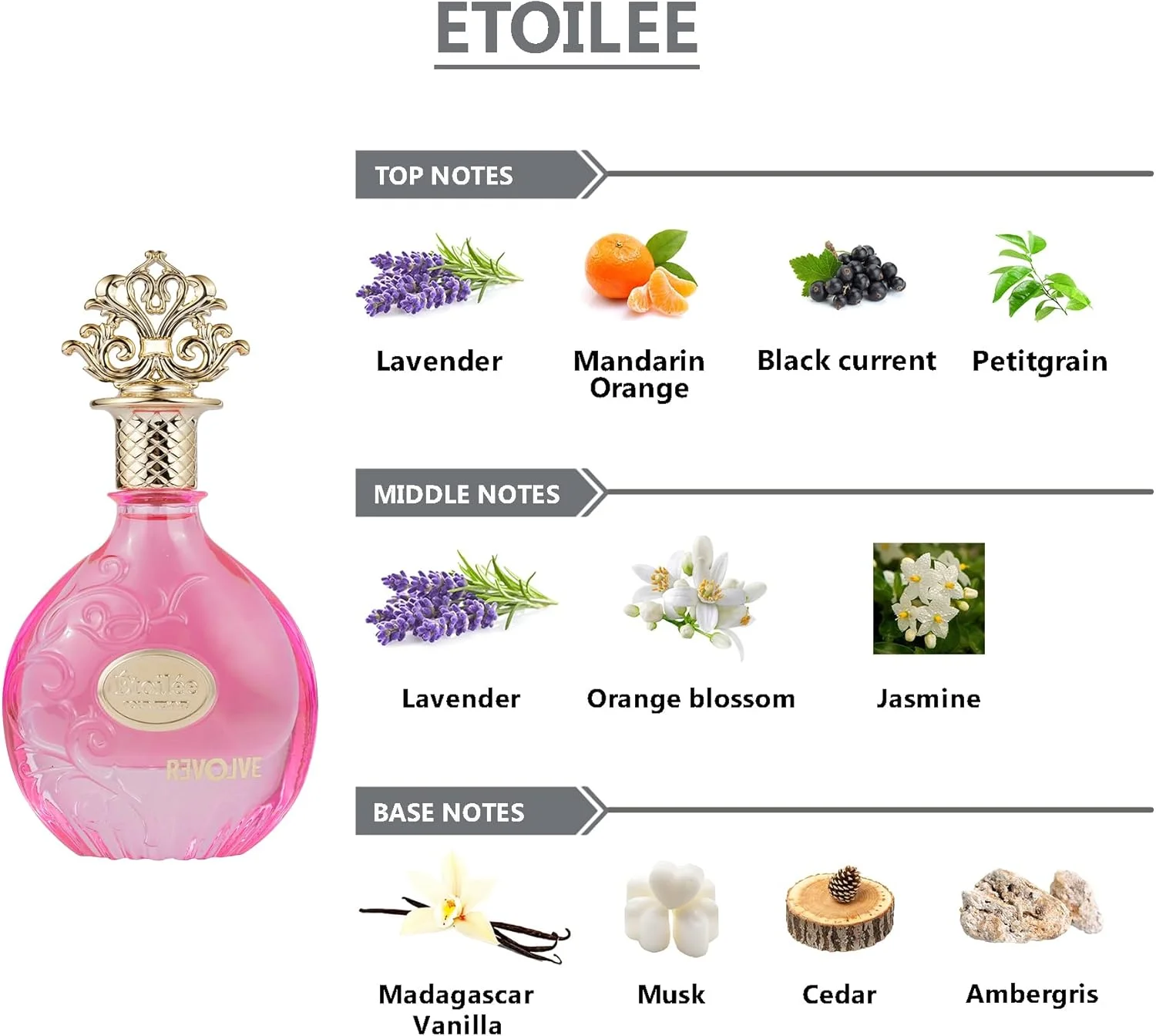 ادو پرفیوم زنانه REVOLVE Etoilee - 100 میلی لیتر | عطر ممتاز و ماندگار | رایحه لوکس | مناسب برای کار، رویدادها و مناسبت های خاص ادو پرفیوم زنانه REVOLVE Etoilee - 100 میلی لیتر | عطر ممتاز و ماندگار | رایحه لوکس | مناسب برای کار، رویدادها و مناسبت های خاص