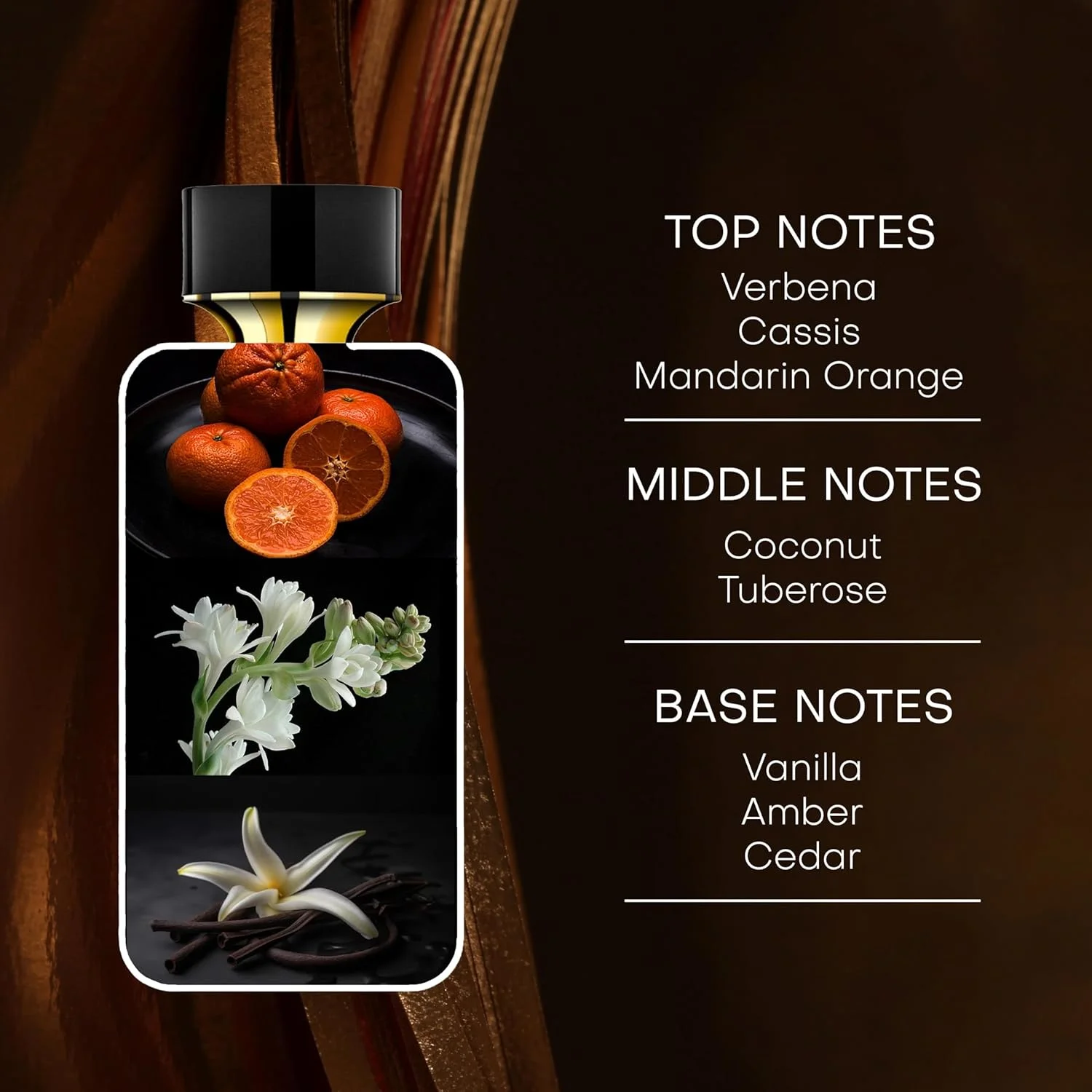 عطر زنانه ریچل زوئی فیرلس ادو پرفیوم 100 میلی لیتر - عطری زنانه با تعادل کامل برای زنان - بیدار کردن حواس با رایحه ماندگار و خاص طراح