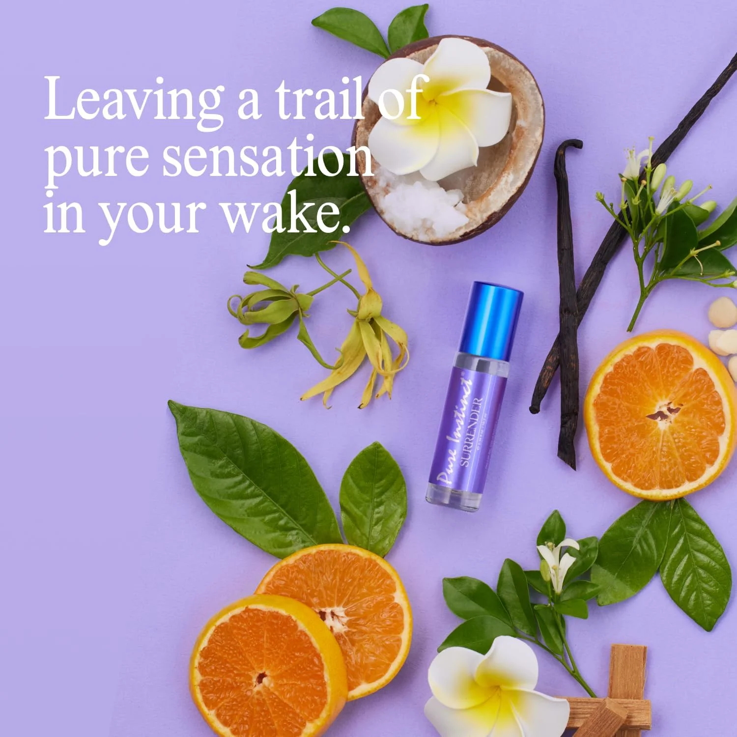 روغن بدن غلتکی Pure Instinct Surrender با فرمول اصلی فرمونی، عطر ادو پرفیوم زنانه مناسب سفر (10.2 میلی لیتر / 0.34 اونس) روغن بدن غلتکی Pure Instinct Surrender با فرمول اصلی فرمونی، عطر ادو پرفیوم زنانه مناسب سفر (10.2 میلی لیتر / 0.34 اونس)