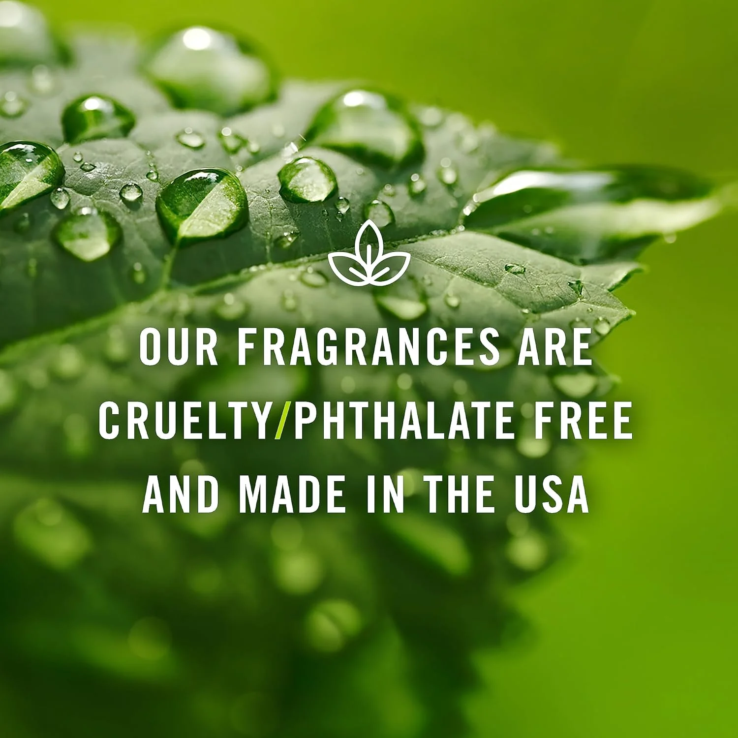 روغن معطر P&J Trading - رایحه عسل 30 میلی لیتر - رایحه شمع، صابون سازی، روغن دیفیوزر، رایحه های تازه روغن معطر P&J Trading - رایحه عسل 30 میلی لیتر - رایحه شمع، صابون سازی، روغن دیفیوزر، رایحه های تازه