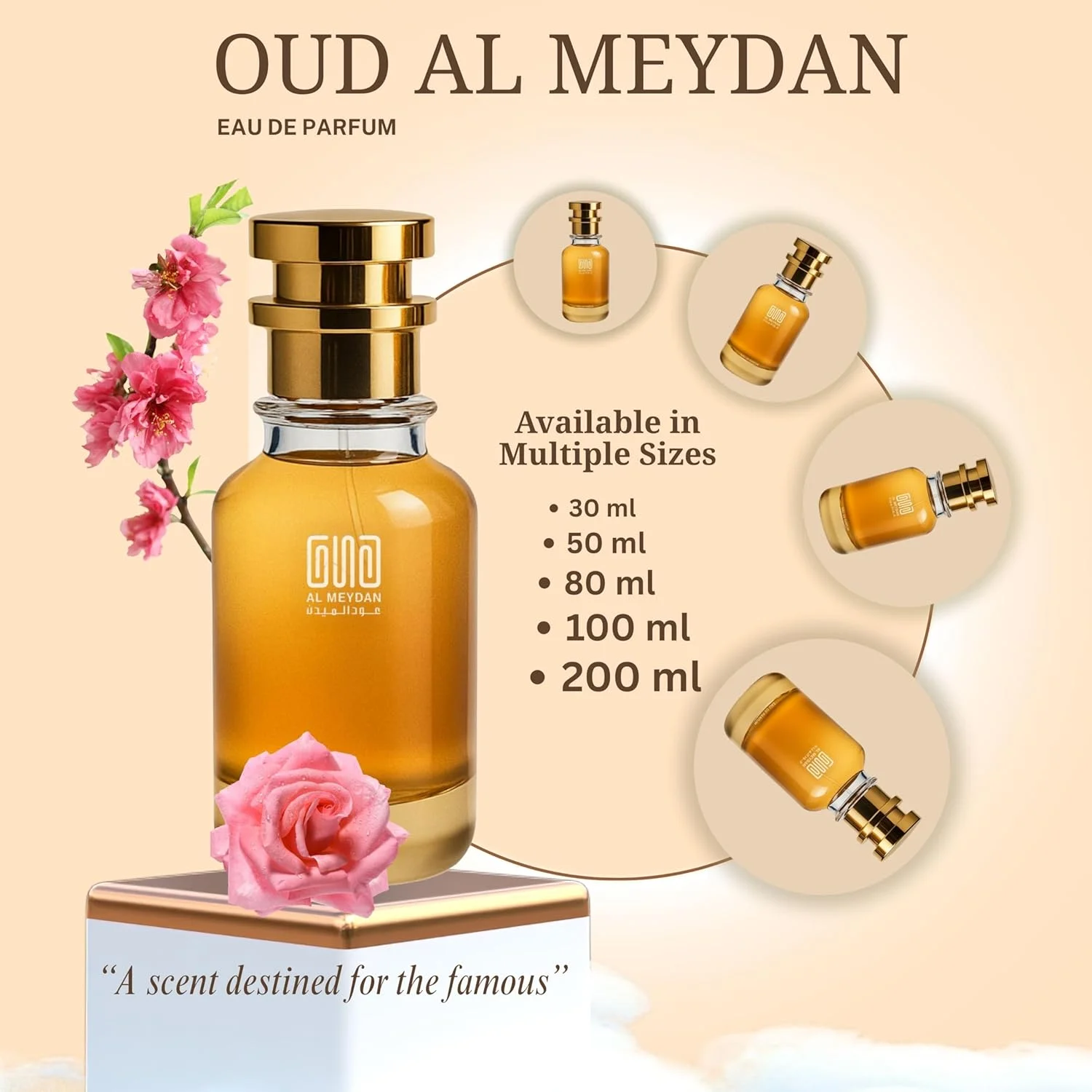 عطر روغنی زنانه عود المیدان - الهام گرفته از 212 وی آی پی رز، رایحه میوه ای گلی با شامپاین، شکوفه هلو و مشک - بدون الکل، ماندگاری طولانی و ظریف (50 میلی لیتر)