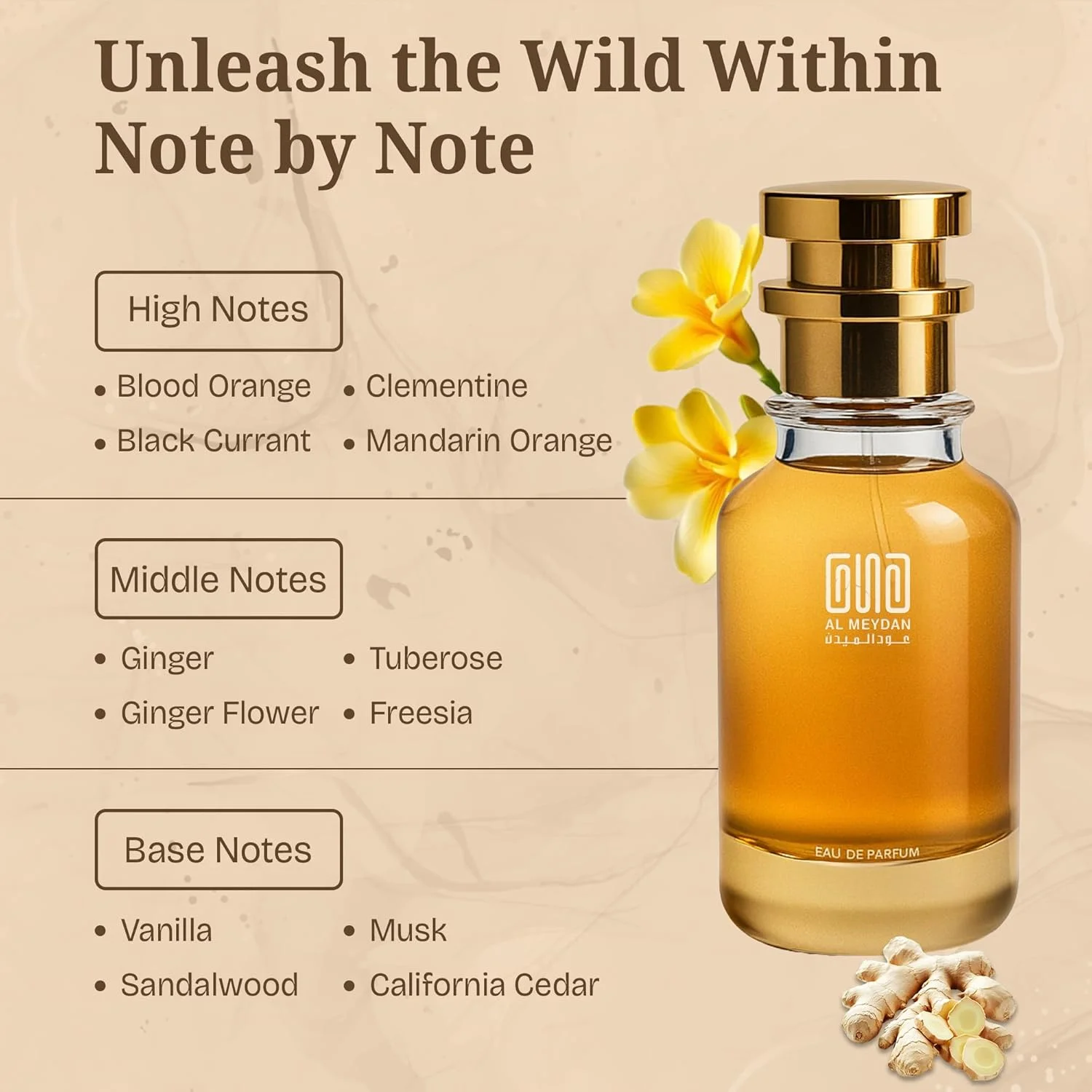 عطر روغنی عود المیدان زنانه – رایحه ای از رید دپت – عطر روغنی میوه ای و گلی بدون الکل با رایحه پرتقال خونی، زنجبیل و وانیل – ماندگاری طولانی 8-10 ساعت (30 میلی لیتر) عطر روغنی عود المیدان زنانه – رایحه ای از رید دپت – عطر روغنی میوه ای و گلی بدون الکل با رایحه پرتقال خونی، زنجبیل و وانیل – ماندگاری طولانی 8-10 ساعت (30 میلی لیتر)
