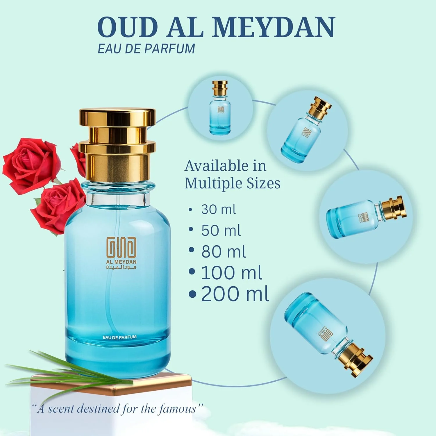 عطر روغنی عود المیدان زنانه – الهام گرفته از وری گود گرل – عطر روغنی بدون الکل با رایحه لیچی، رز و وانیل – رایحه میوه ای، گلی و شیرین ماندگار برای زنان (30 میلی لیتر)