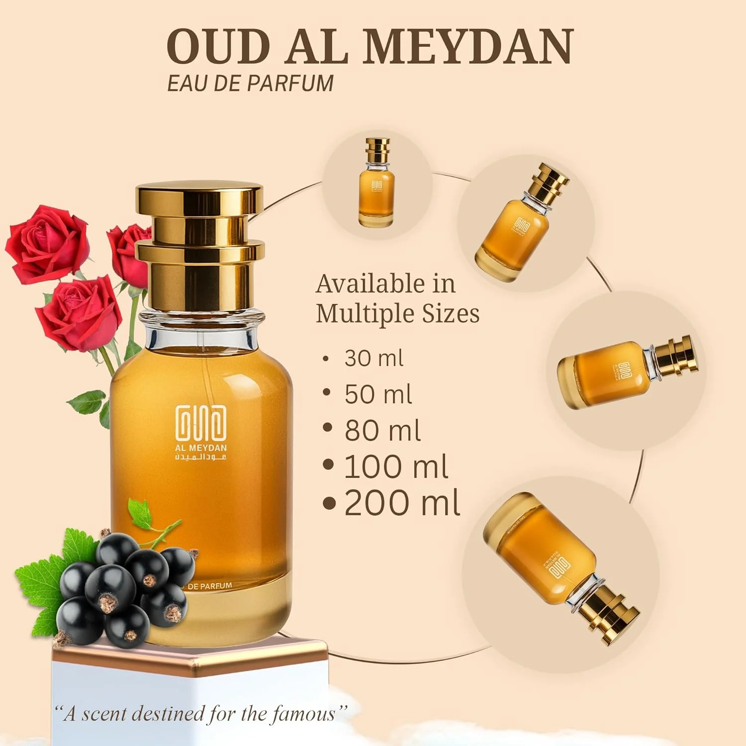 عطر روغنی عود المیدان مدل Oud Al Meydan مناسب آقایان و بانوان – الهام گرفته از Roze Rouj – عطر روغنی بدون الکل با رایحه انگور فرنگی سیاه، رز و وانیل – ماندگاری طولانی (80 میلی لیتر) عطر روغنی عود المیدان مدل Oud Al Meydan مناسب آقایان و بانوان – الهام گرفته از Roze Rouj – عطر روغنی بدون الکل با رایحه انگور فرنگی سیاه، رز و وانیل – ماندگاری طولانی (80 میلی لیتر)