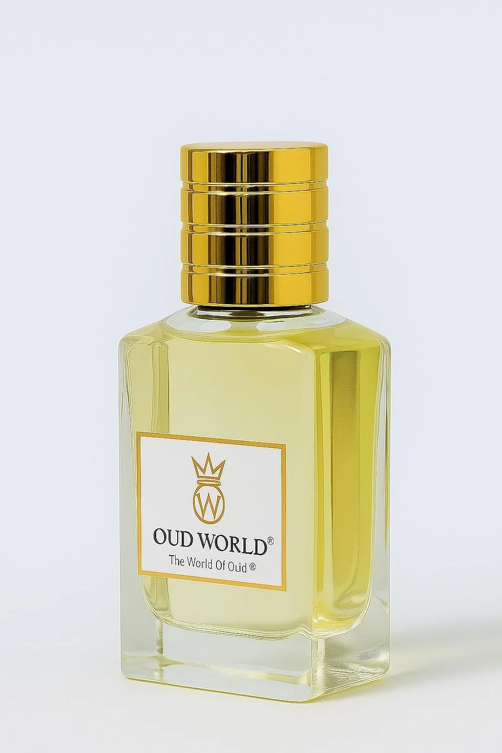 عطر ادو پرفیوم عود ورلد آمبر لدر | رایحه چرمی لوکس برای مردان و زنان، 100 میلی لیتر | رایحه هل تند، یاس سامباک و نعناع هندی | عطر ماندگار عطر ادو پرفیوم عود ورلد آمبر لدر | رایحه چرمی لوکس برای مردان و زنان، 100 میلی لیتر | رایحه هل تند، یاس سامباک و نعناع هندی | عطر ماندگار