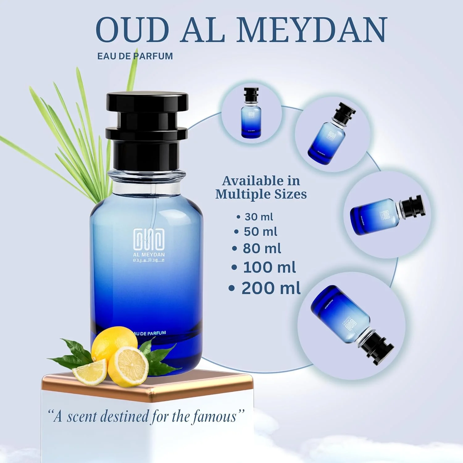 عطر روغنی عود المیدان مردانه و زنانه، الهام گرفته از سون توئنتی فور. رایحه ای تازه، تمیز، مرکباتی گیاهی و گل های سبز. بدون الکل، ماندگاری بیش از 10 ساعت، مناسب برای استفاده روزانه (50 میلی لیتر) عطر روغنی عود المیدان مردانه و زنانه، الهام گرفته از سون توئنتی فور. رایحه ای تازه، تمیز، مرکباتی گیاهی و گل های سبز. بدون الکل، ماندگاری بیش از 10 ساعت، مناسب برای استفاده روزانه (50 میلی لیتر)