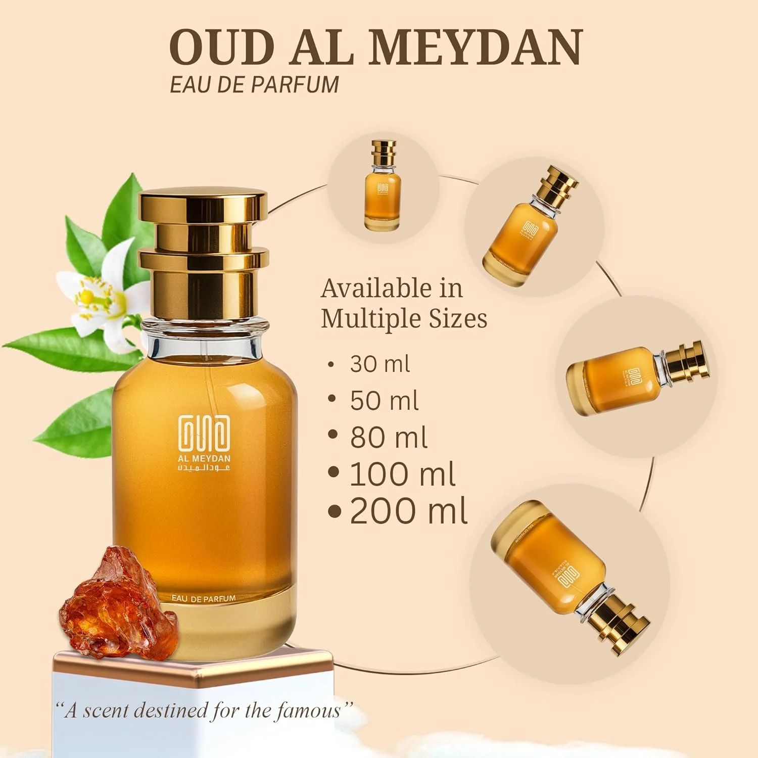 عطر روغنی عود المیدان زنانه - الهام گرفته از لیدی میلیون - روغن عطر بدون الکل با رایحه یاس، تمشک و عسل سفید - ماندگاری طولانی (30 میلی لیتر) عطر روغنی عود المیدان زنانه - الهام گرفته از لیدی میلیون - روغن عطر بدون الکل با رایحه یاس، تمشک و عسل سفید - ماندگاری طولانی (30 میلی لیتر)