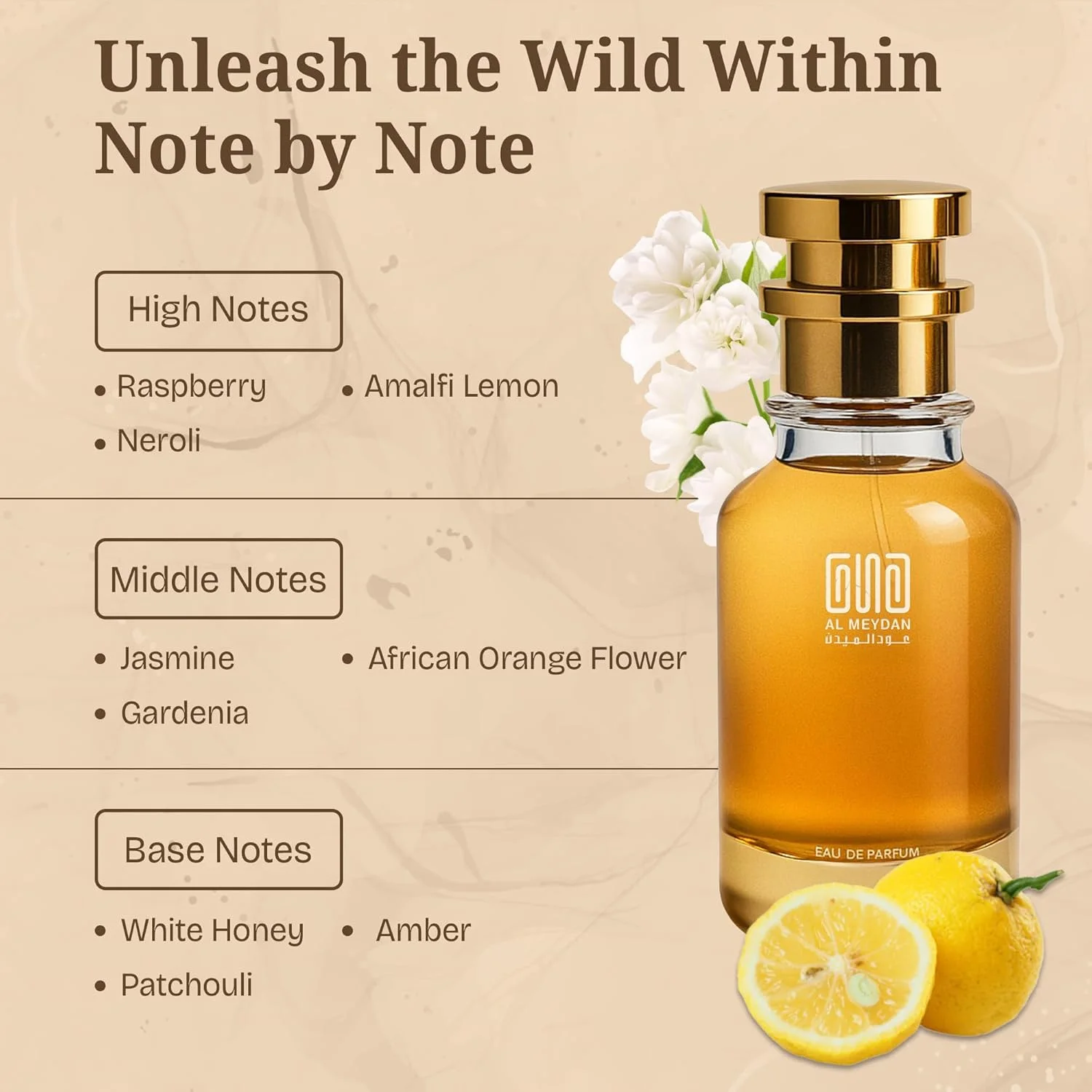 عطر روغنی عود المیدان زنانه - الهام گرفته از لیدی میلیون - روغن عطر بدون الکل با رایحه یاس، تمشک و عسل سفید - ماندگاری طولانی (30 میلی لیتر) عطر روغنی عود المیدان زنانه - الهام گرفته از لیدی میلیون - روغن عطر بدون الکل با رایحه یاس، تمشک و عسل سفید - ماندگاری طولانی (30 میلی لیتر)