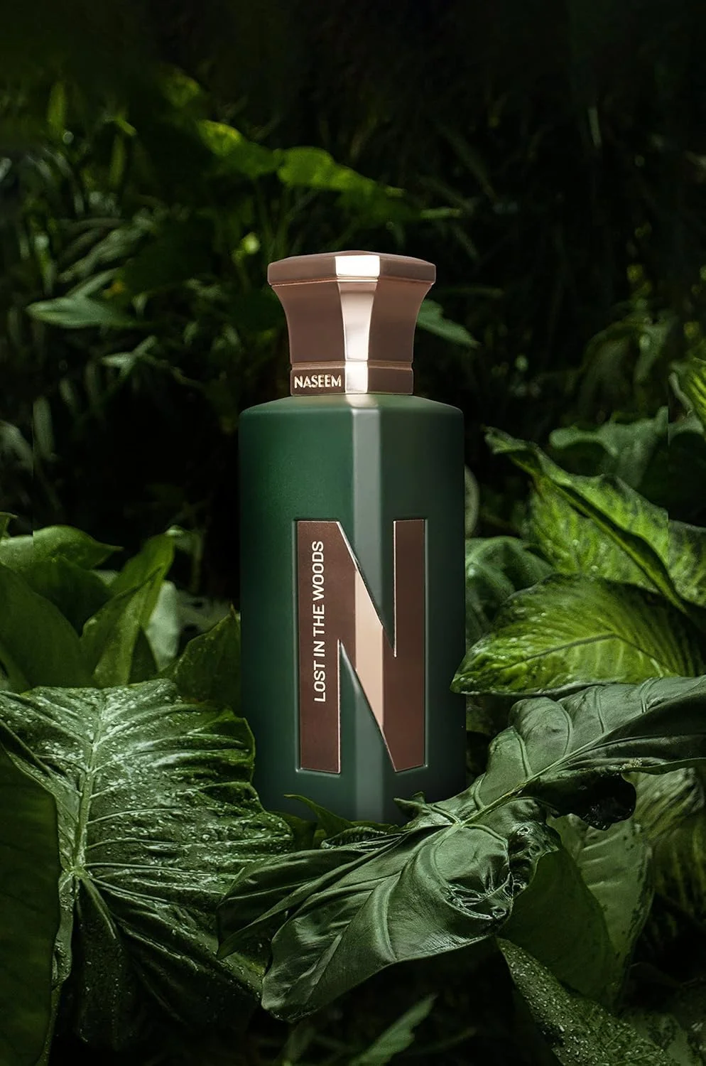عطر آبی نسیم Lost in the Woods 75 میلی لیتر سری N - ادو پرفیوم ملایم برای مردان و زنان - رایحه غیر الکلی ماندگار - رایحه طراوت بخش مرکبات، گل و چوب صندل عطر آبی نسیم Lost in the Woods 75 میلی لیتر سری N - ادو پرفیوم ملایم برای مردان و زنان - رایحه غیر الکلی ماندگار - رایحه طراوت بخش مرکبات، گل و چوب صندل
