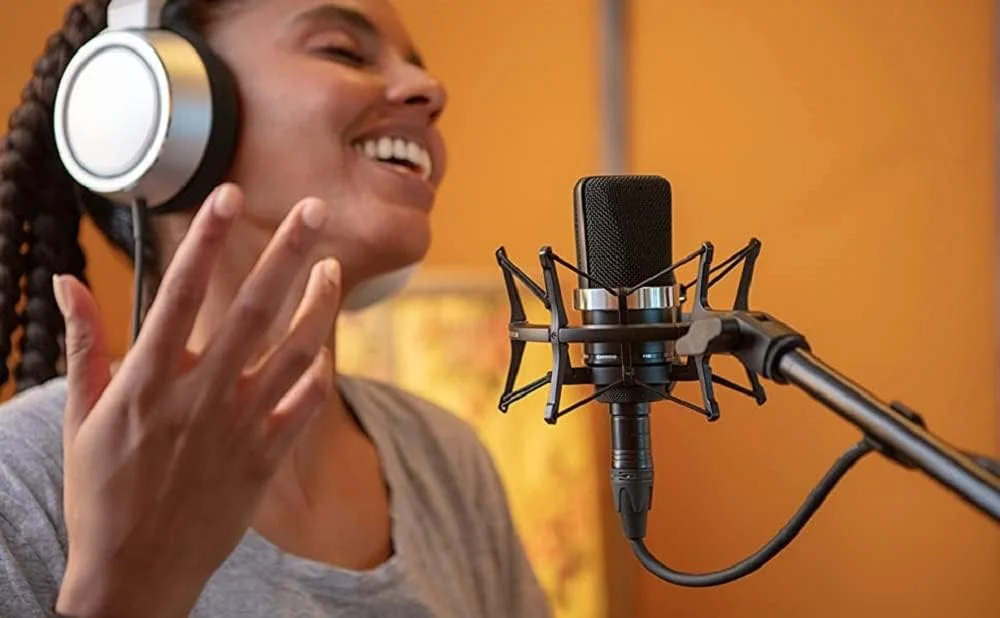 میکروفون استودیویی کاردیوئید مشکی Neumann TLM 102 همراه با لرزه گیر MT